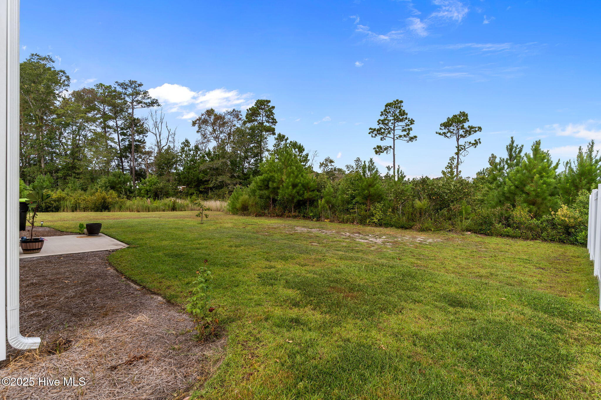 100526308 | Photo 33