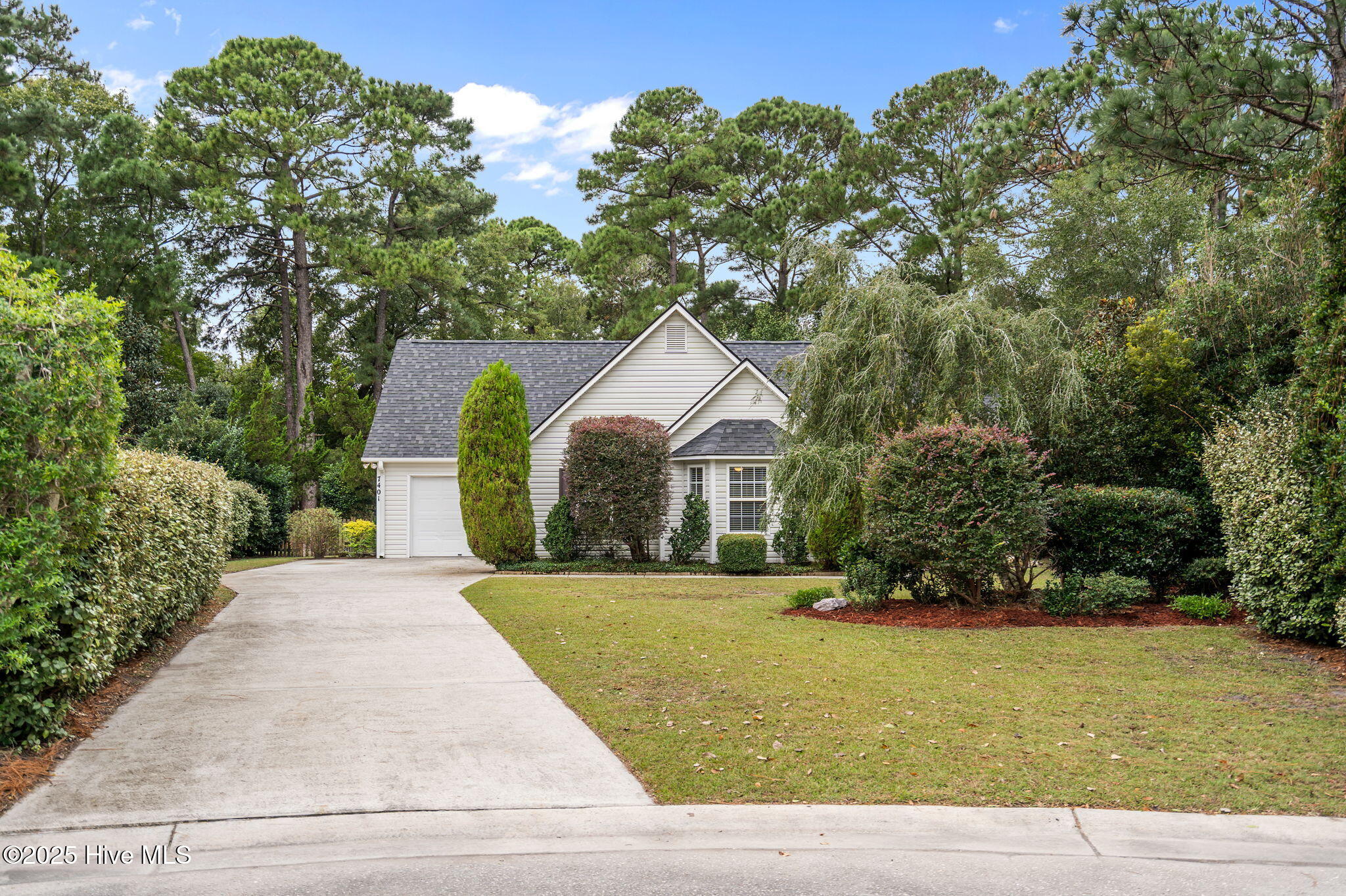 100543555 | Photo 46