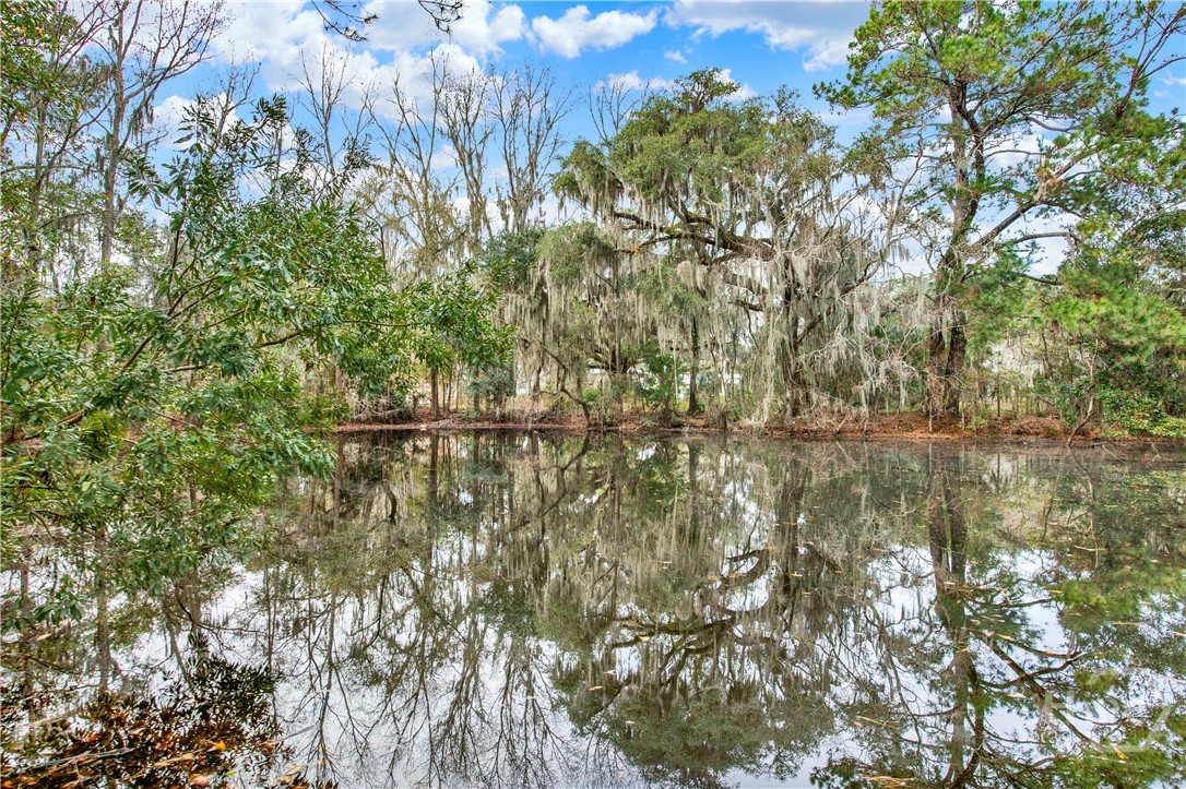 181 Burton, Savannah, Georgia, 0 ,Land,For sale,Burton,SA340617 181 Burton, Savannah, Georgia, 0 ,Land,For sale,Burton,SA340617