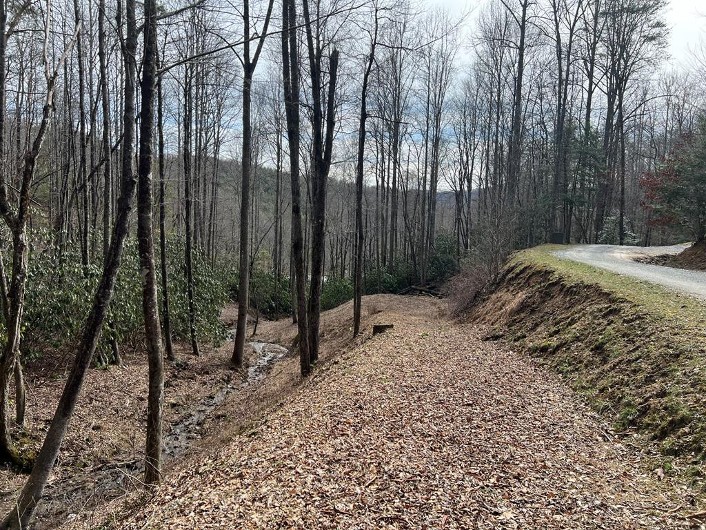 Homes for sale in Nantahala, NC | Lot 17 Black Bear Trl, Nantahala, NC 28781 | MLS# 98524271