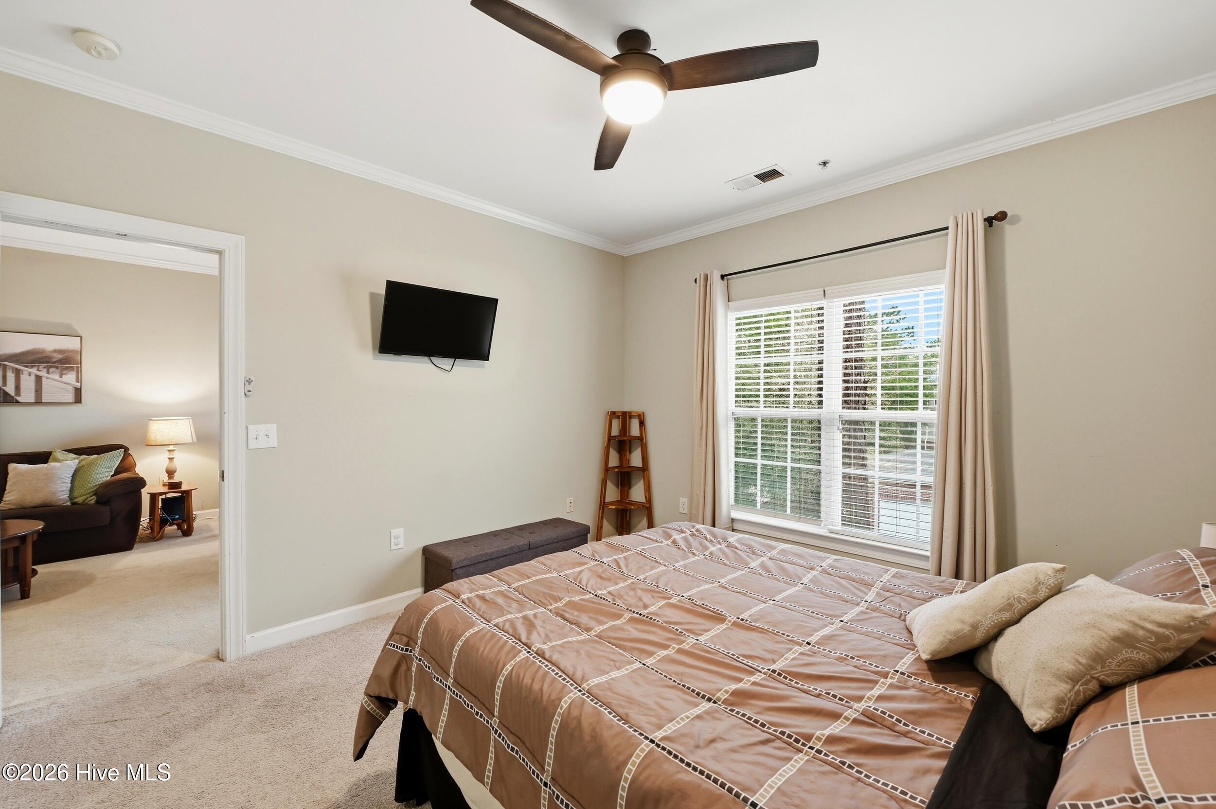 100553296 | Photo 14