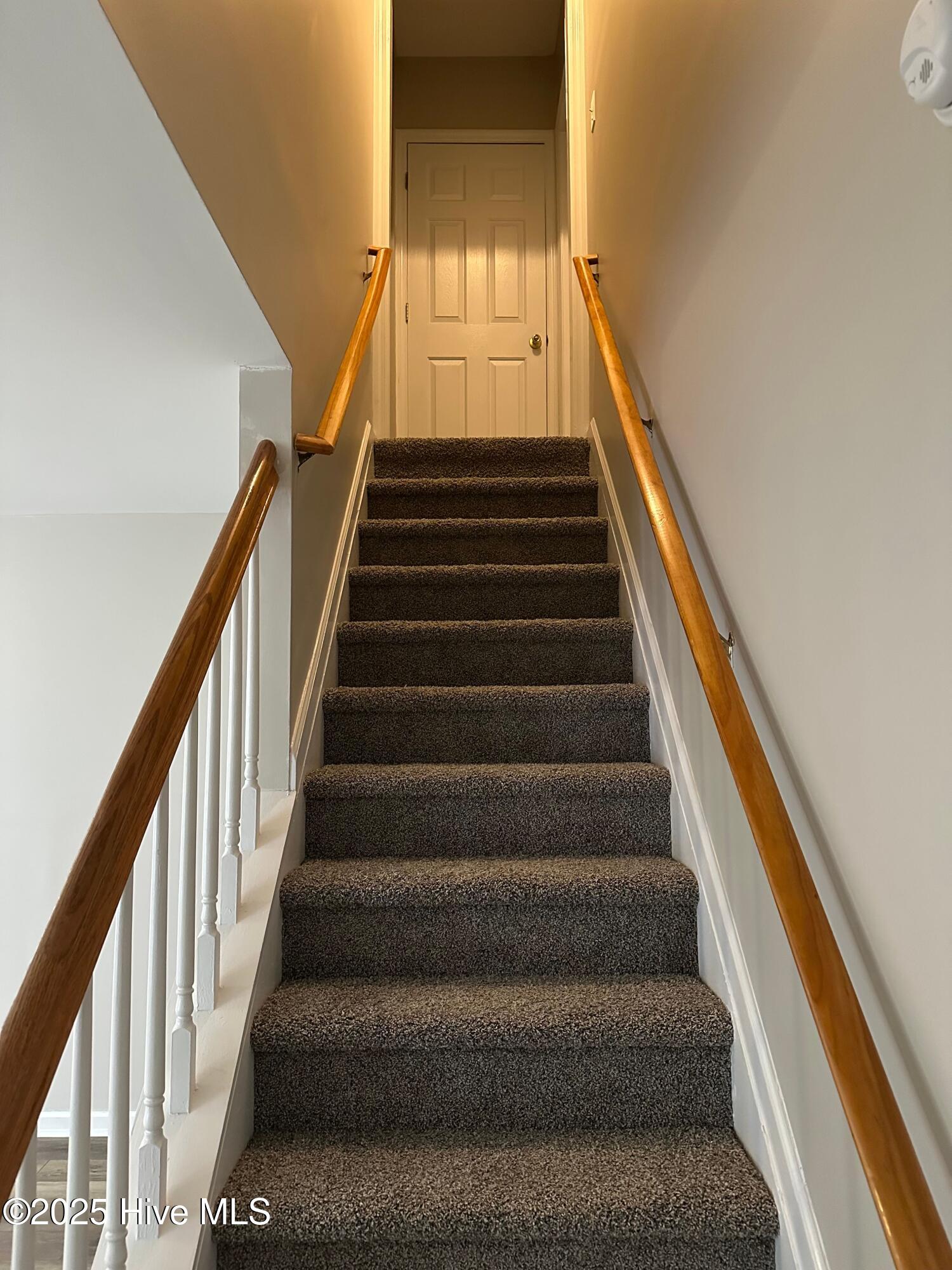 100533896 | Photo 22