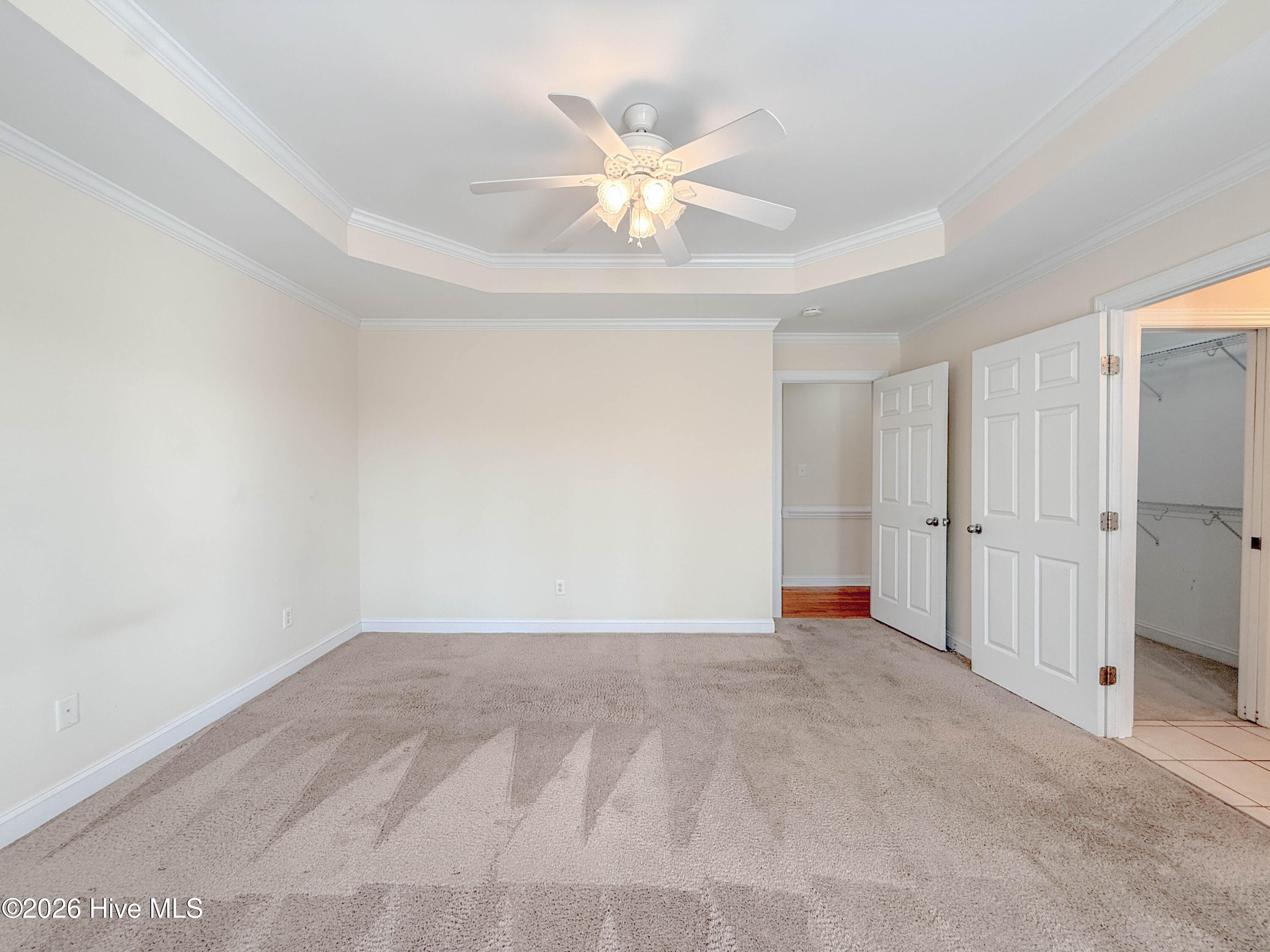 100554252 | Photo 29