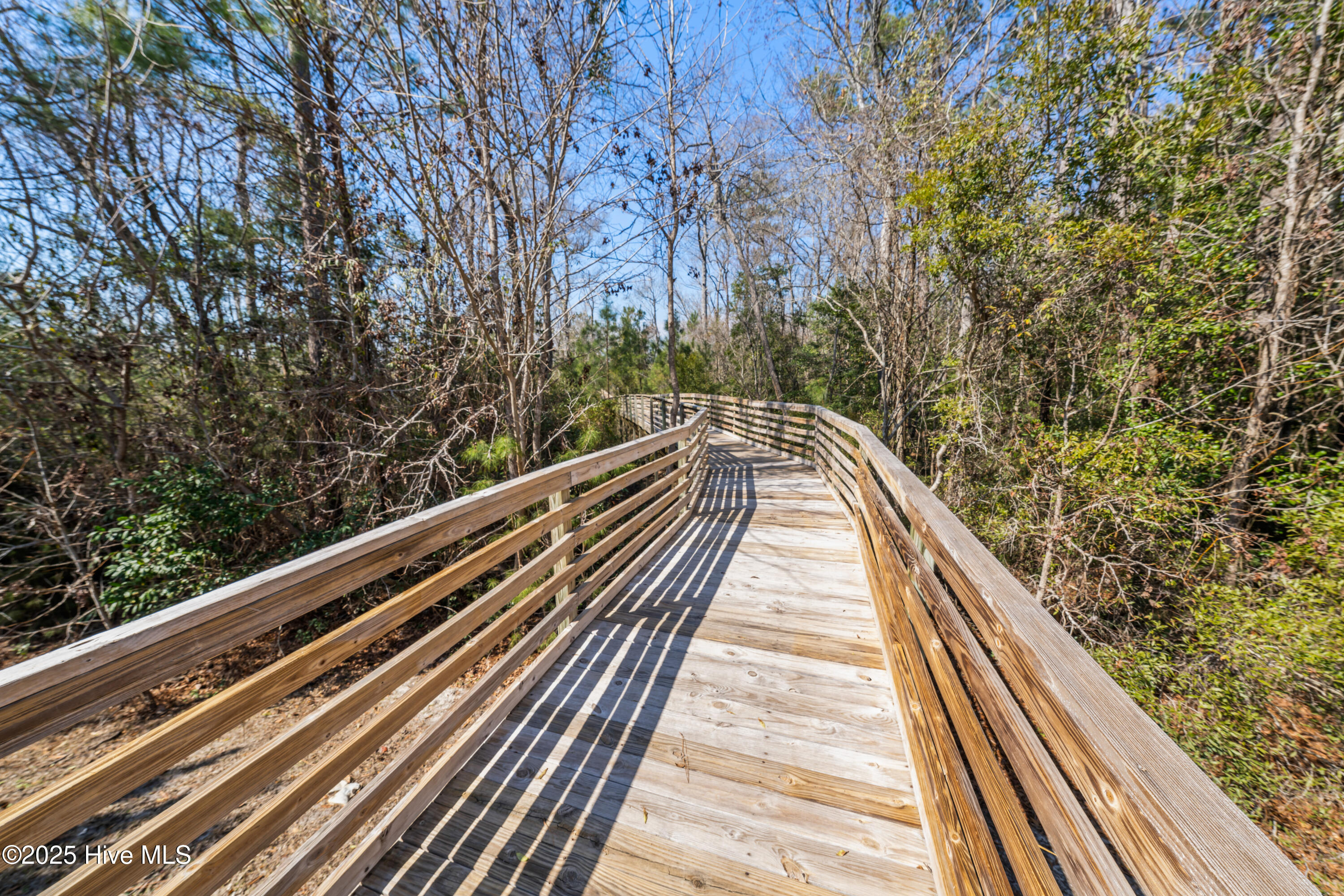 100532334 | Photo 84