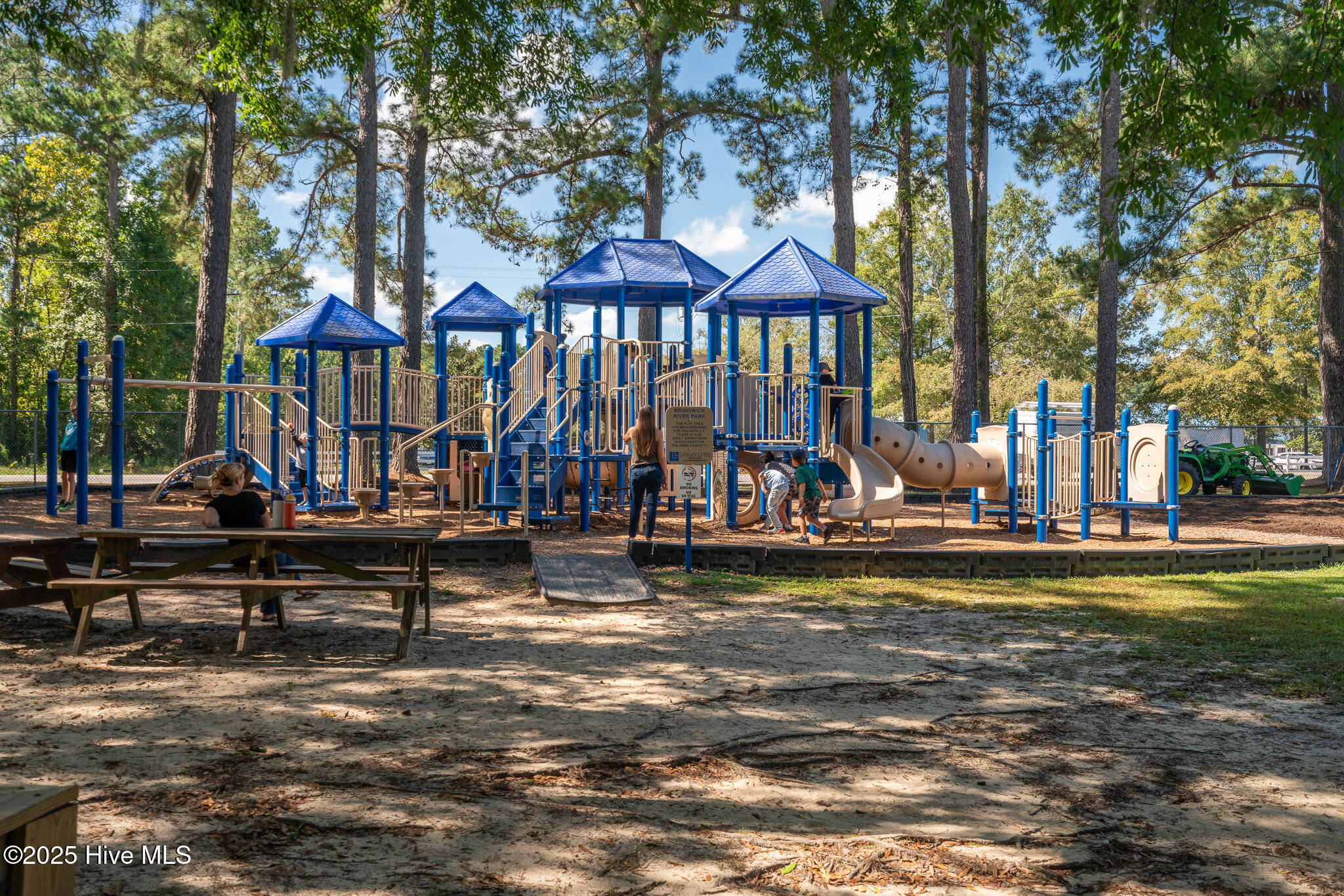 100546678 | Photo 30