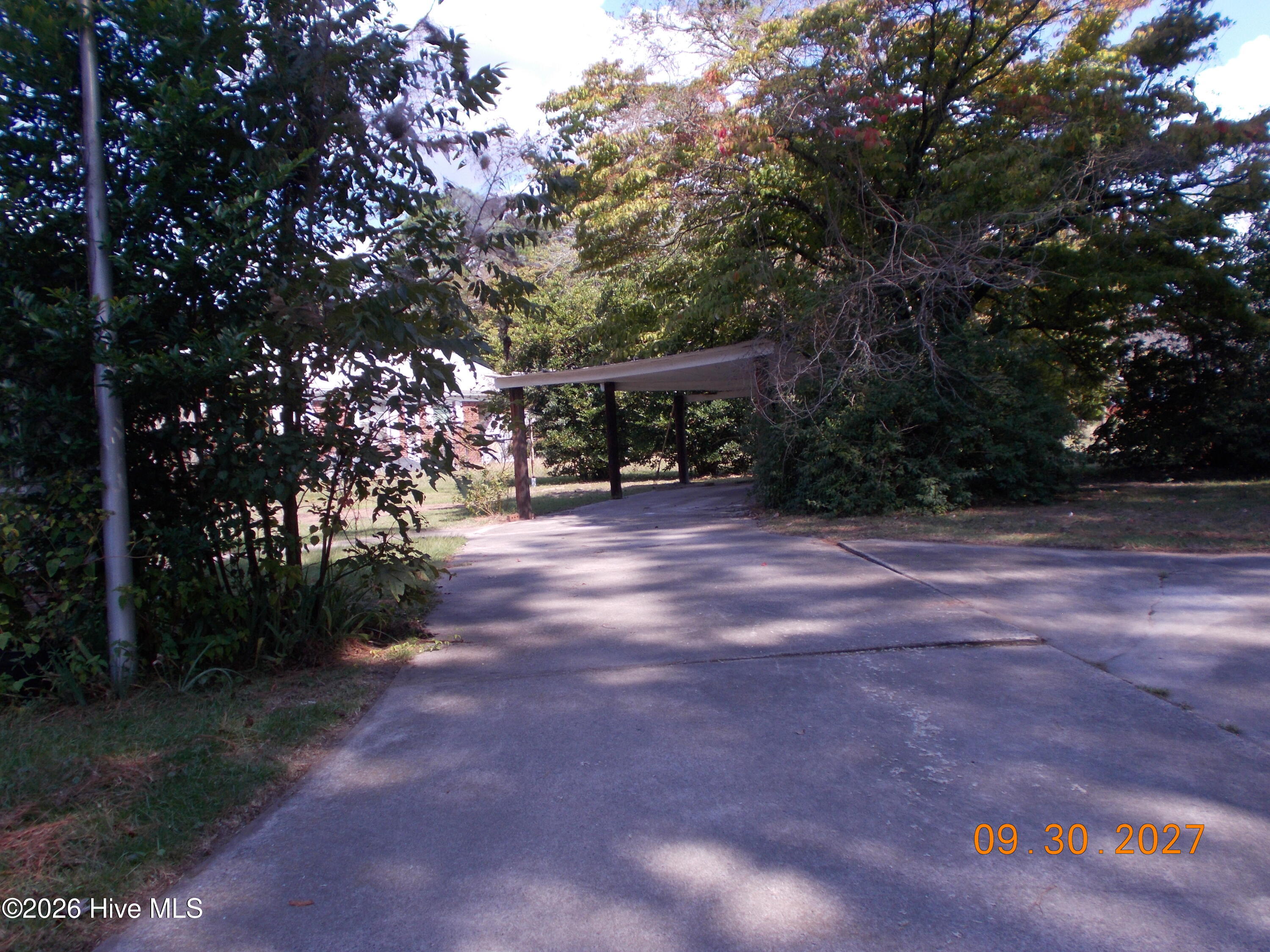 100610236 | Photo 3