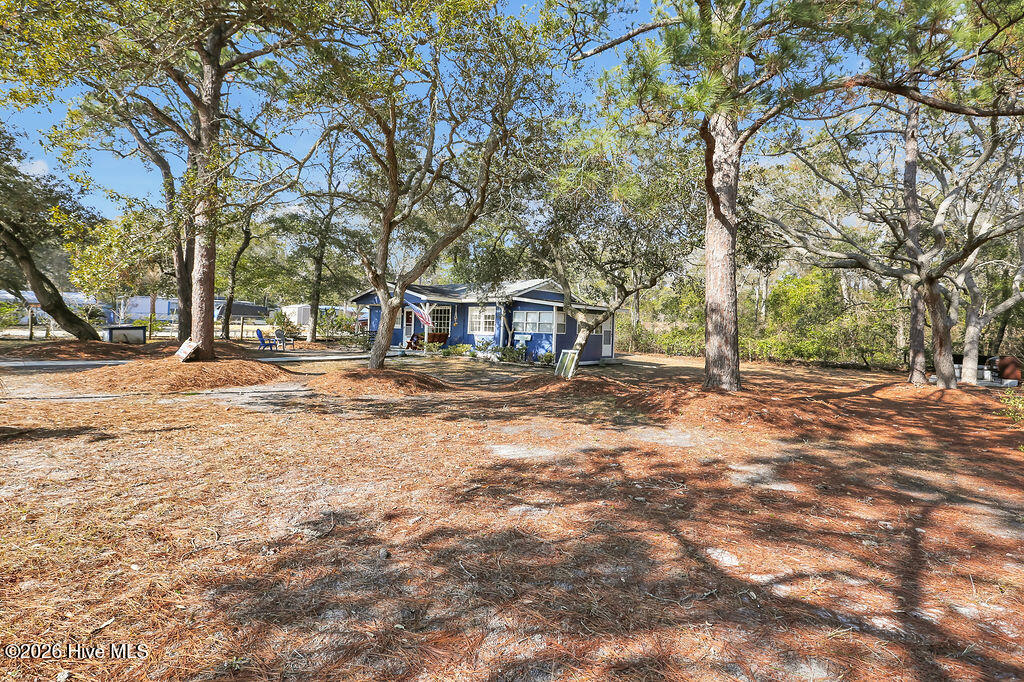 100552471 | Photo 33