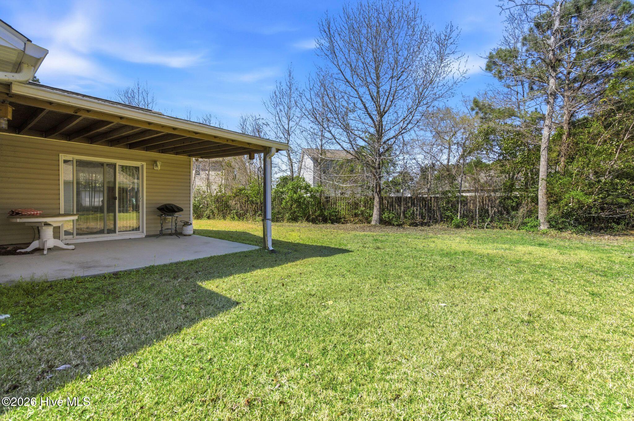 100562982 | Photo 47