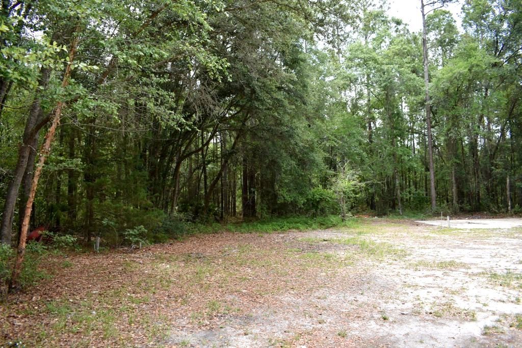 Homes for sale in Ellabell, GA | 2650 N Hwy 119, Ellabell, GA 31308 | MLS# SA356887