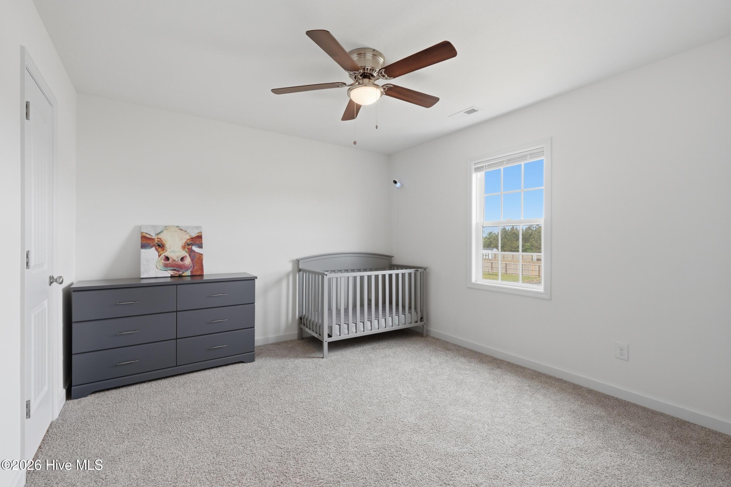 100570455 | Photo 14