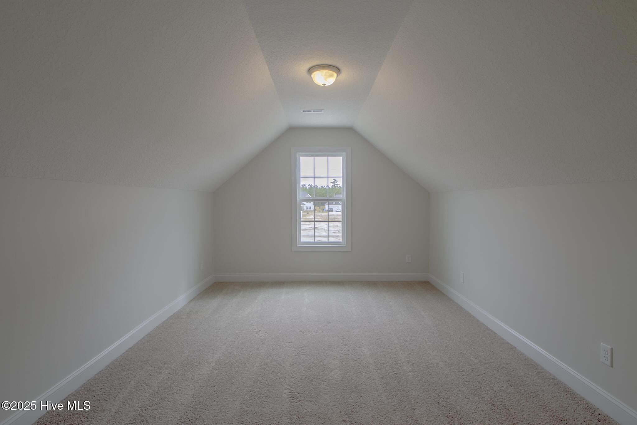 100509462 | Photo 25