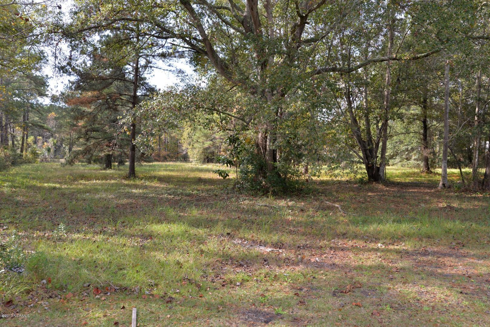 100492321 | Photo 24