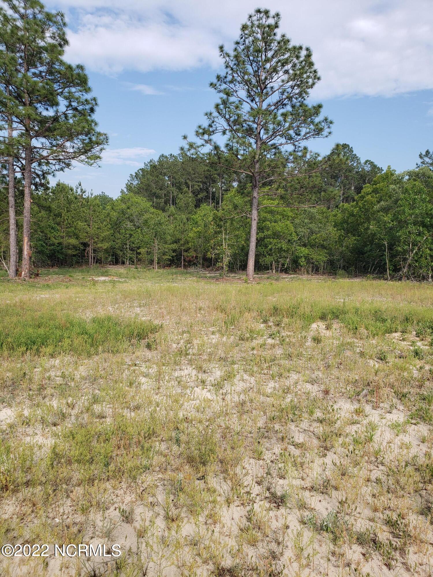 Tbd Roseland Road, Aberdeen, NC, 28315 Tbd Roseland Road, Aberdeen, NC, 28315