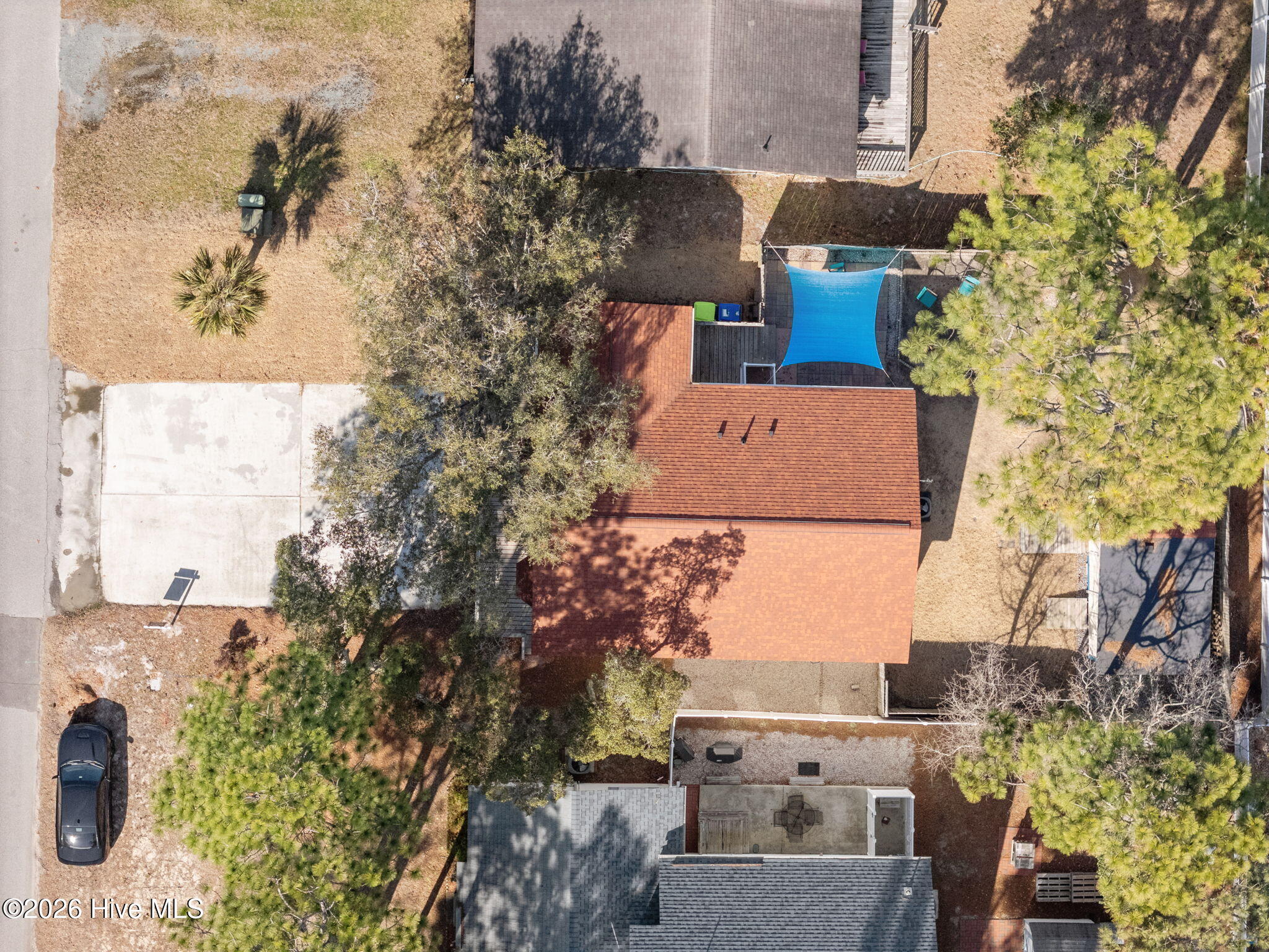 100554594 | Photo 12