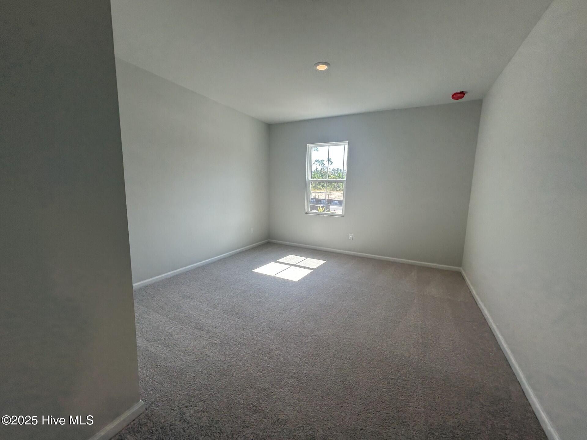 100525039 | Photo 15