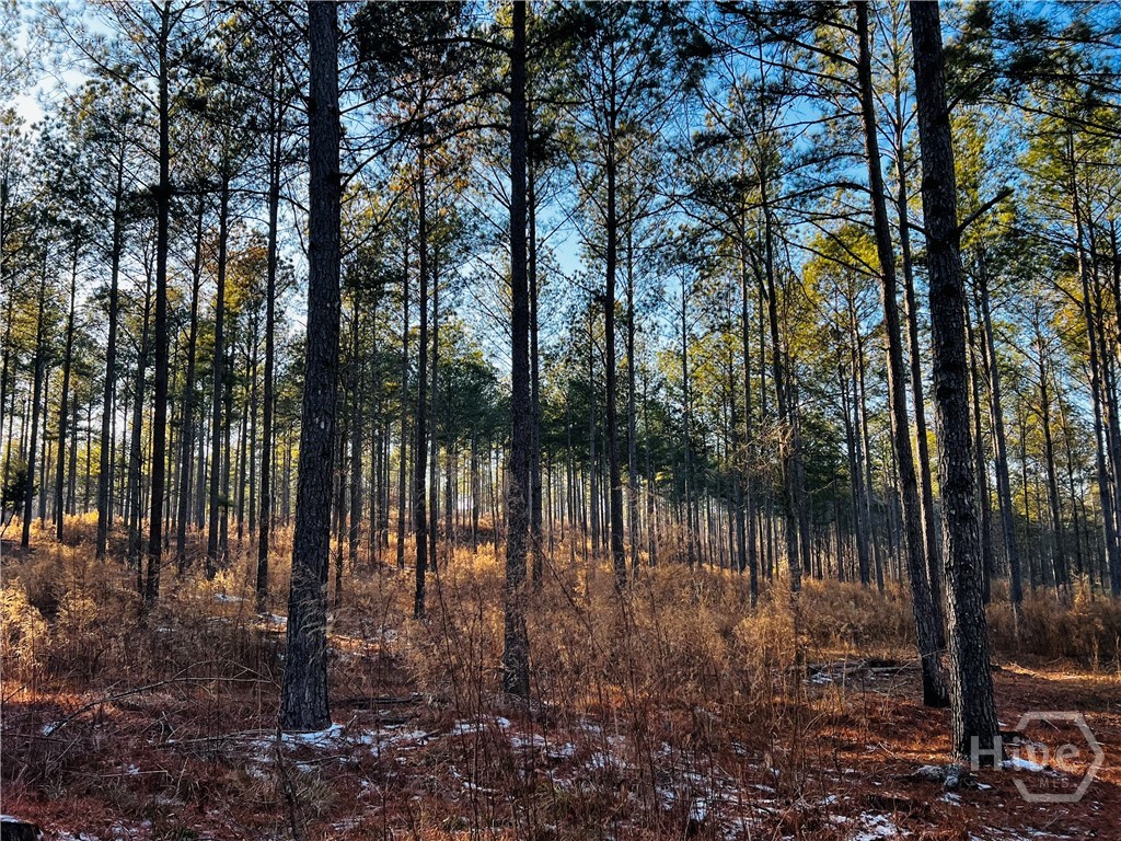 2285 Cherokee Road, Comer, GA, 30629