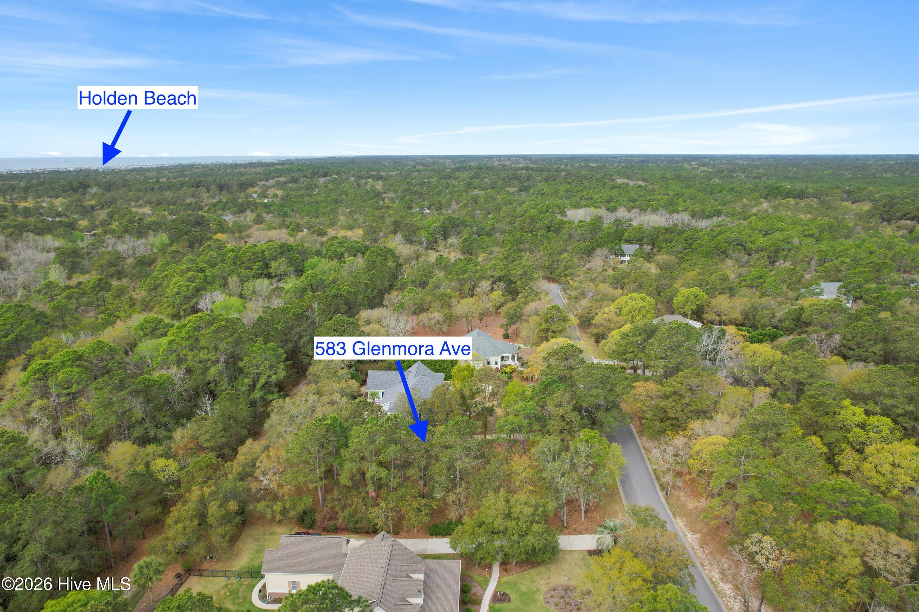 100565243 | Photo 11