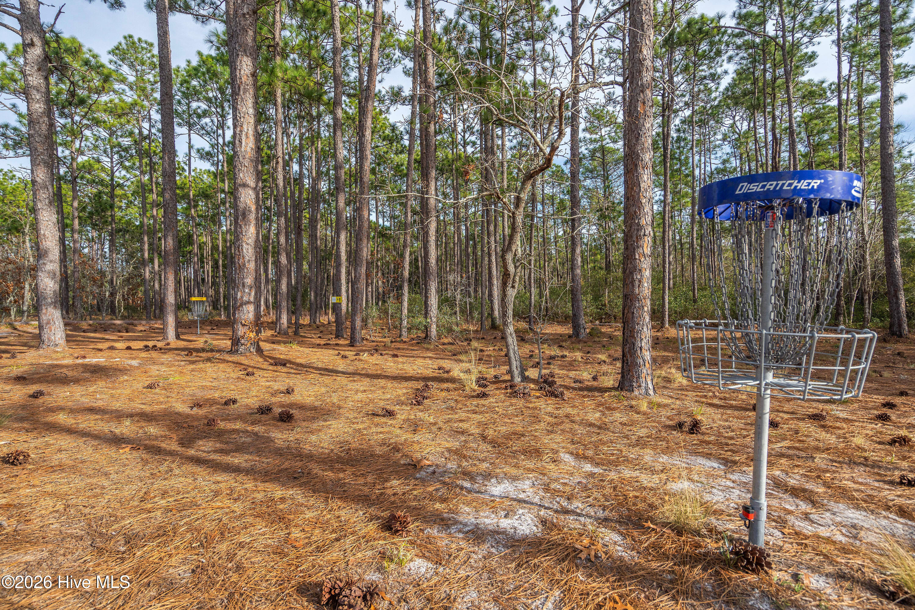 100546954 | Photo 65