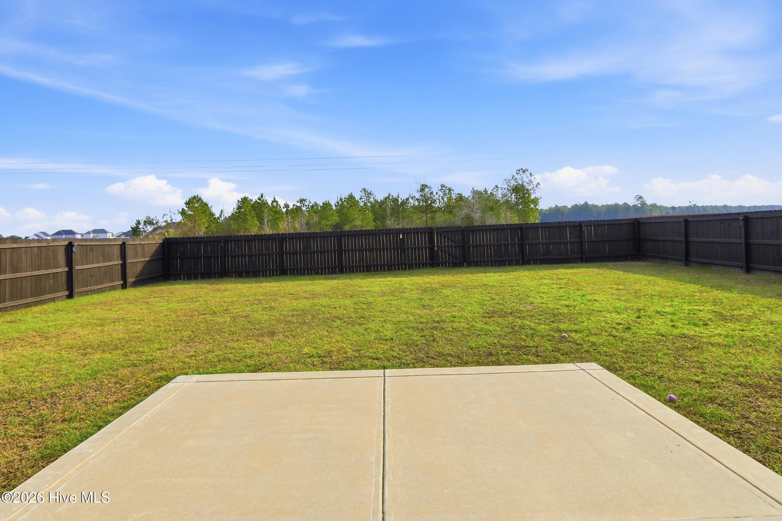 100569035 | Photo 37