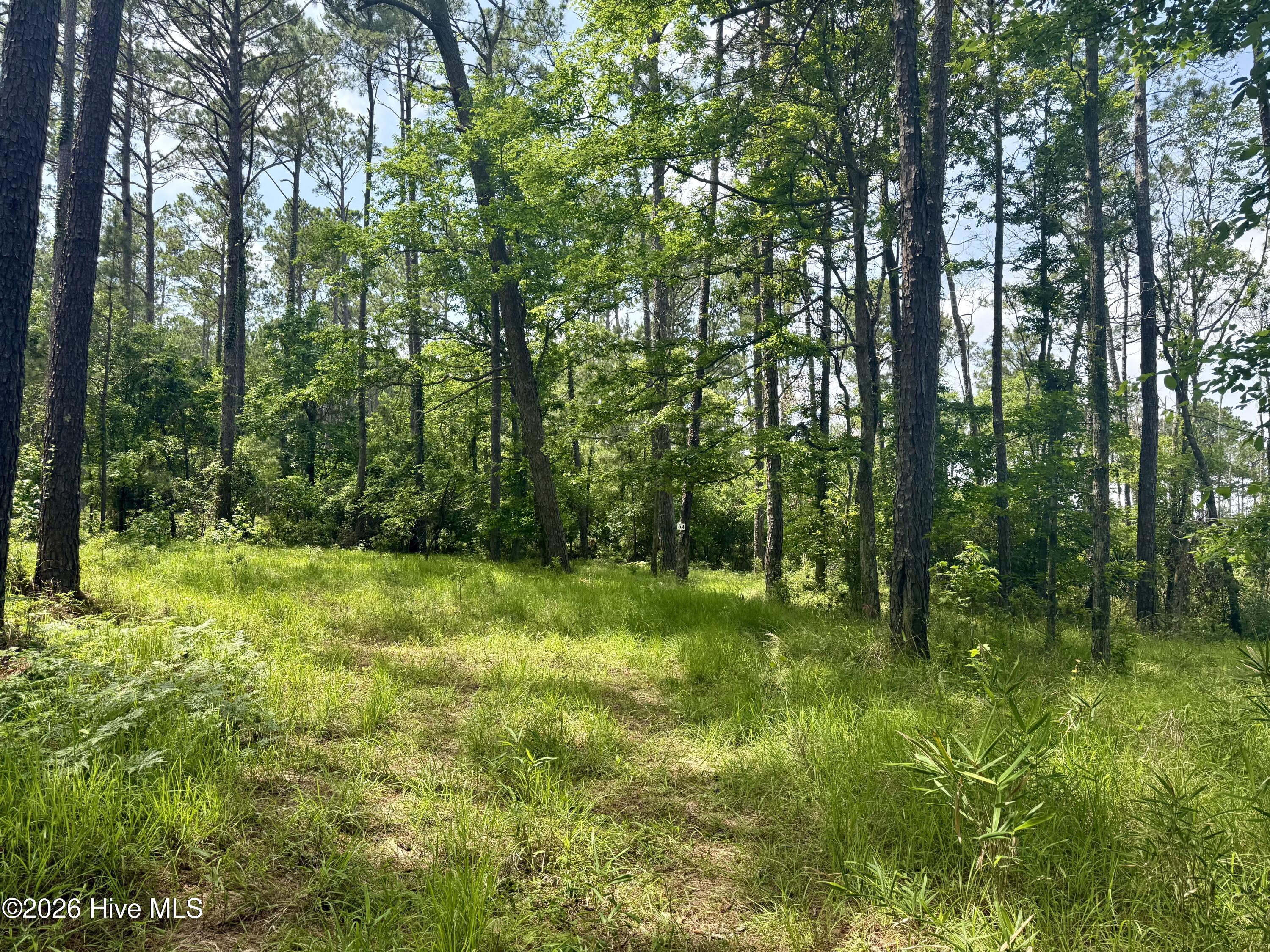 558 Sandy Point 