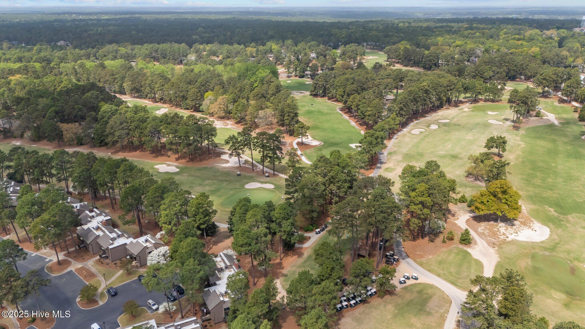 5 Pine Tree Road 211