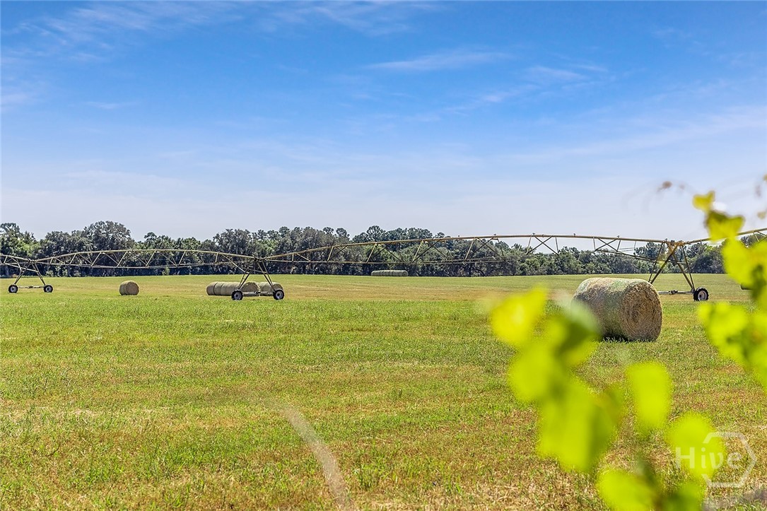 1110 W US Hwy 280, Reidsville, GA, 30453