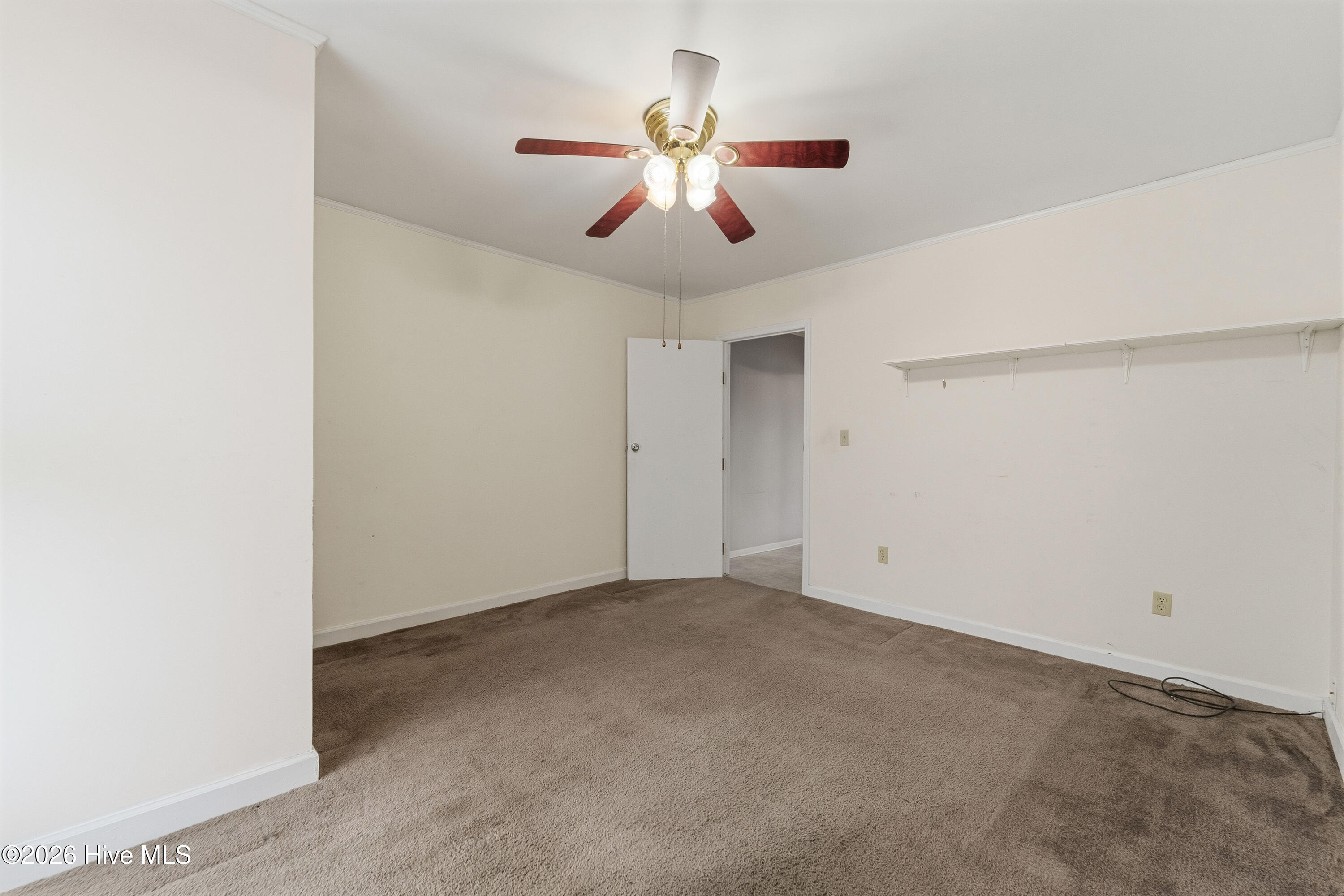 100556367 | Photo 26