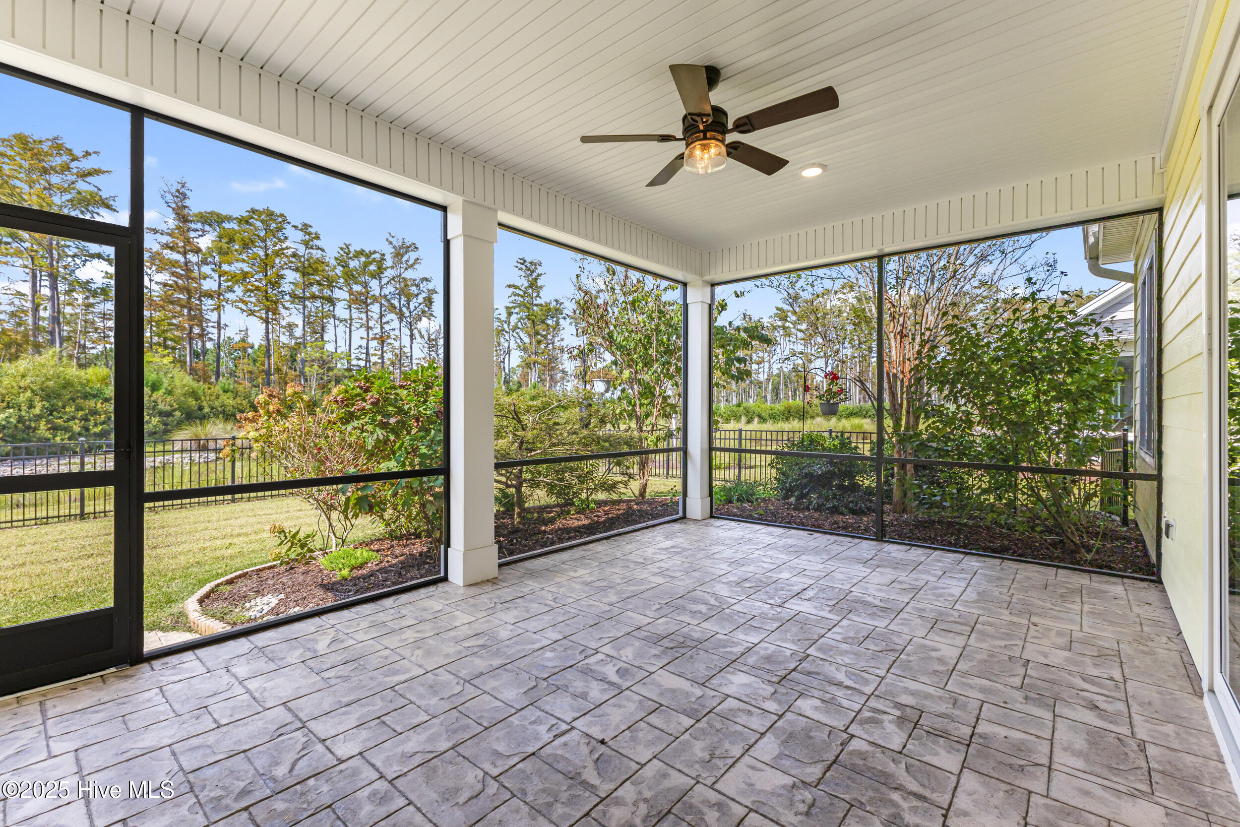 100534390 | Photo 42