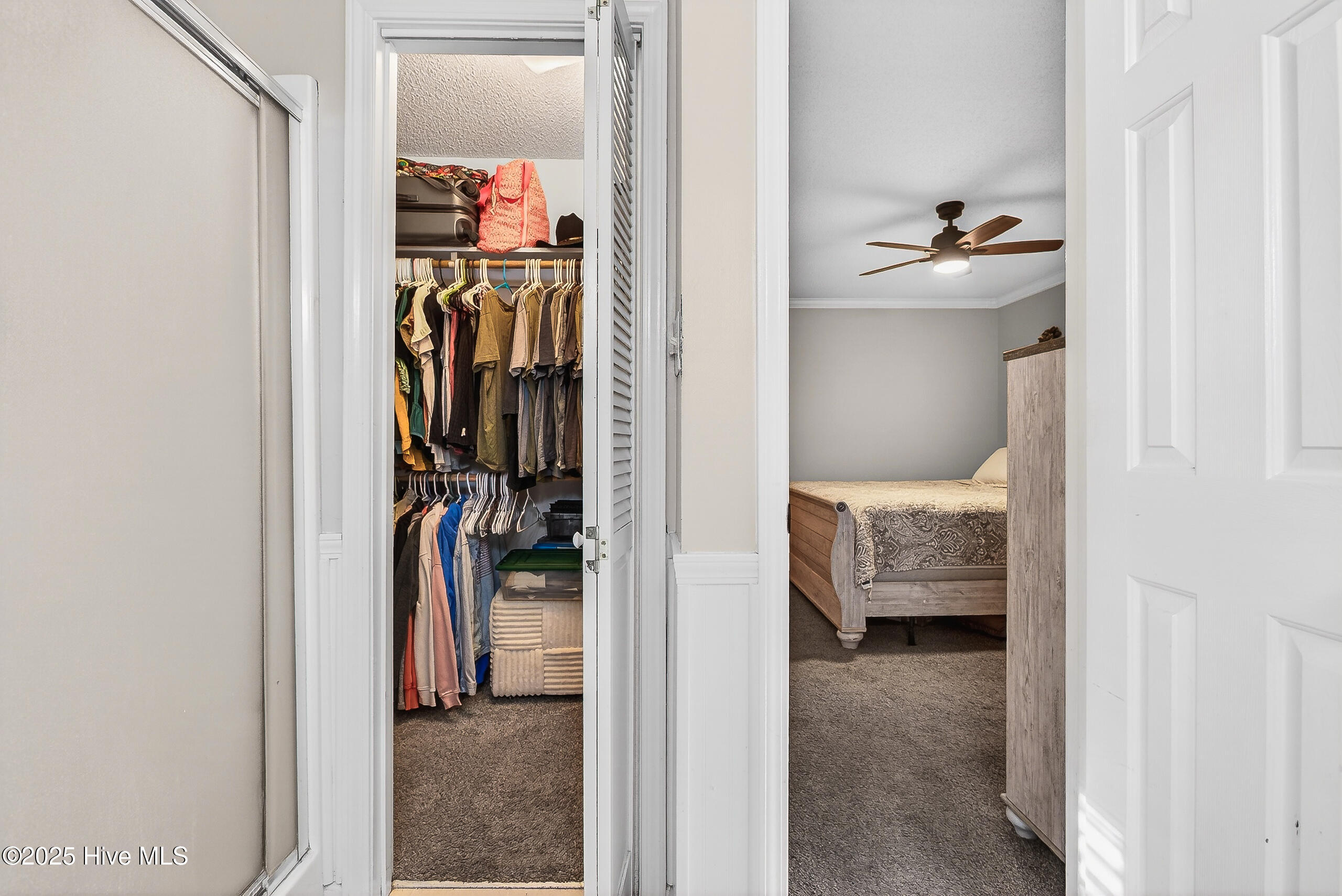 100543509 | Photo 20