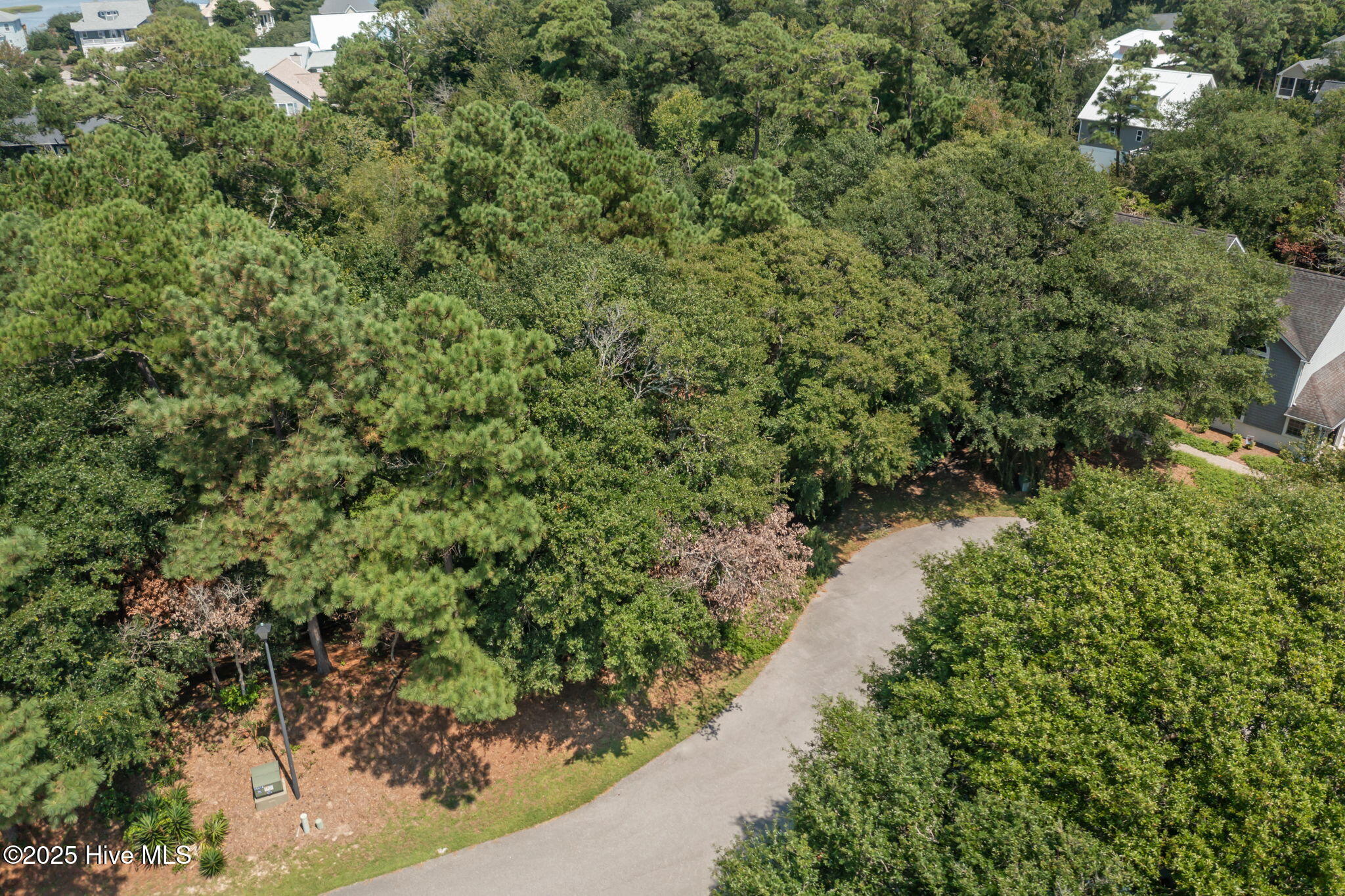 100526103 | Photo 16