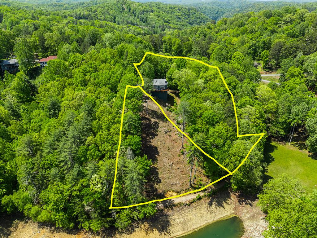87 Snowbird Lane, Murphy, NC 28906 Listing Photo  3