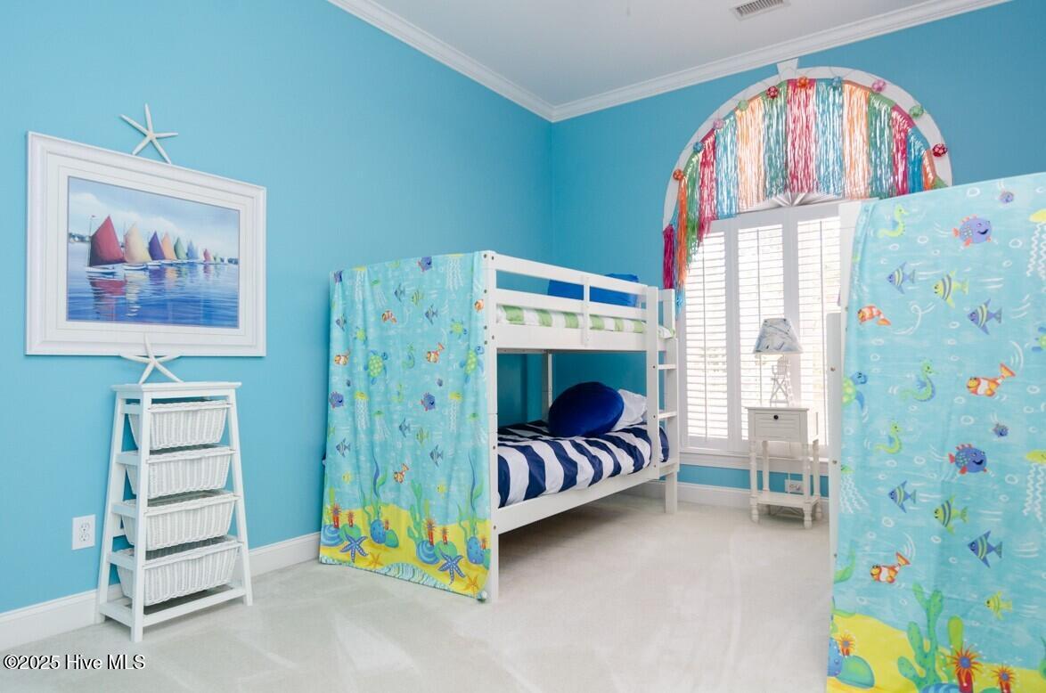 100528608 | Photo 31