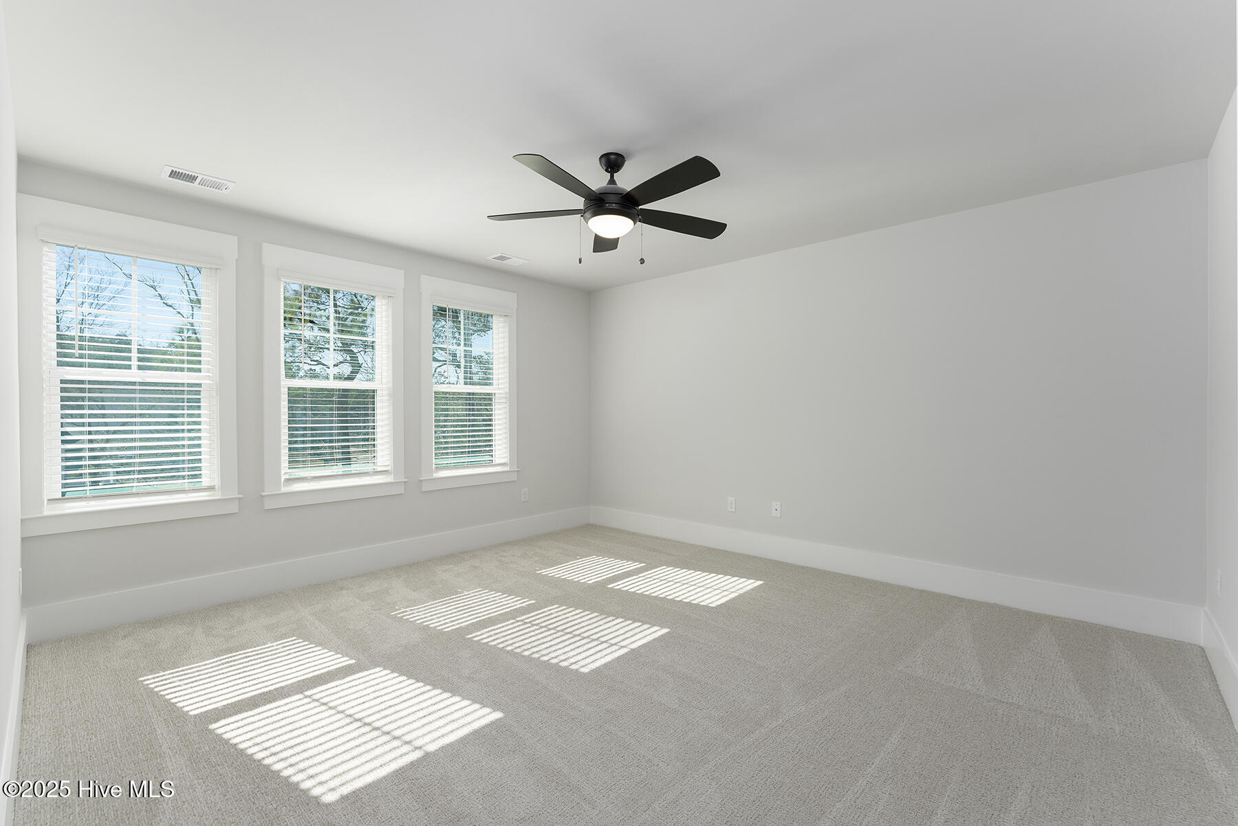 100506459 | Photo 14