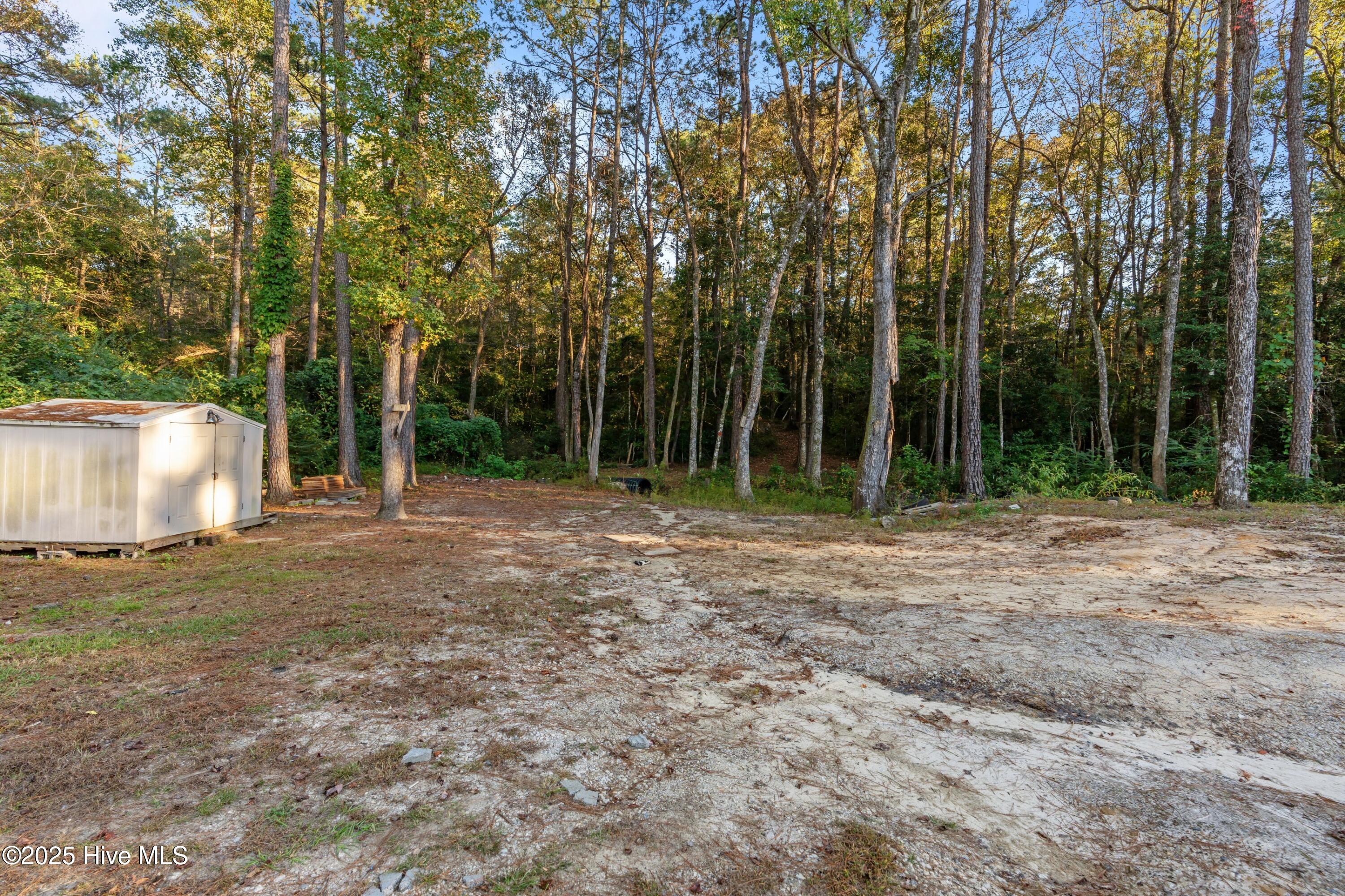 100538120 | Photo 30