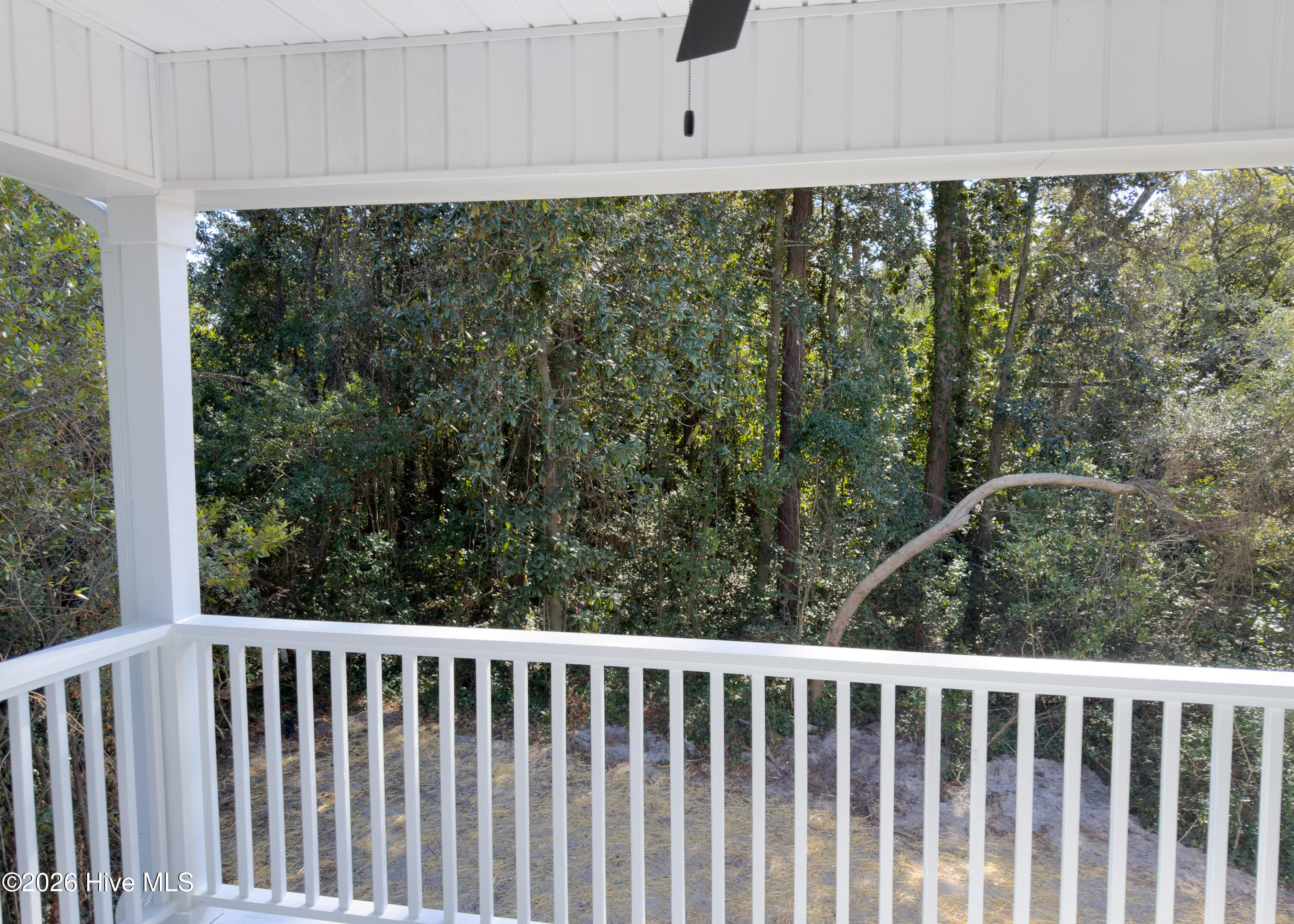 100566286 | Photo 20