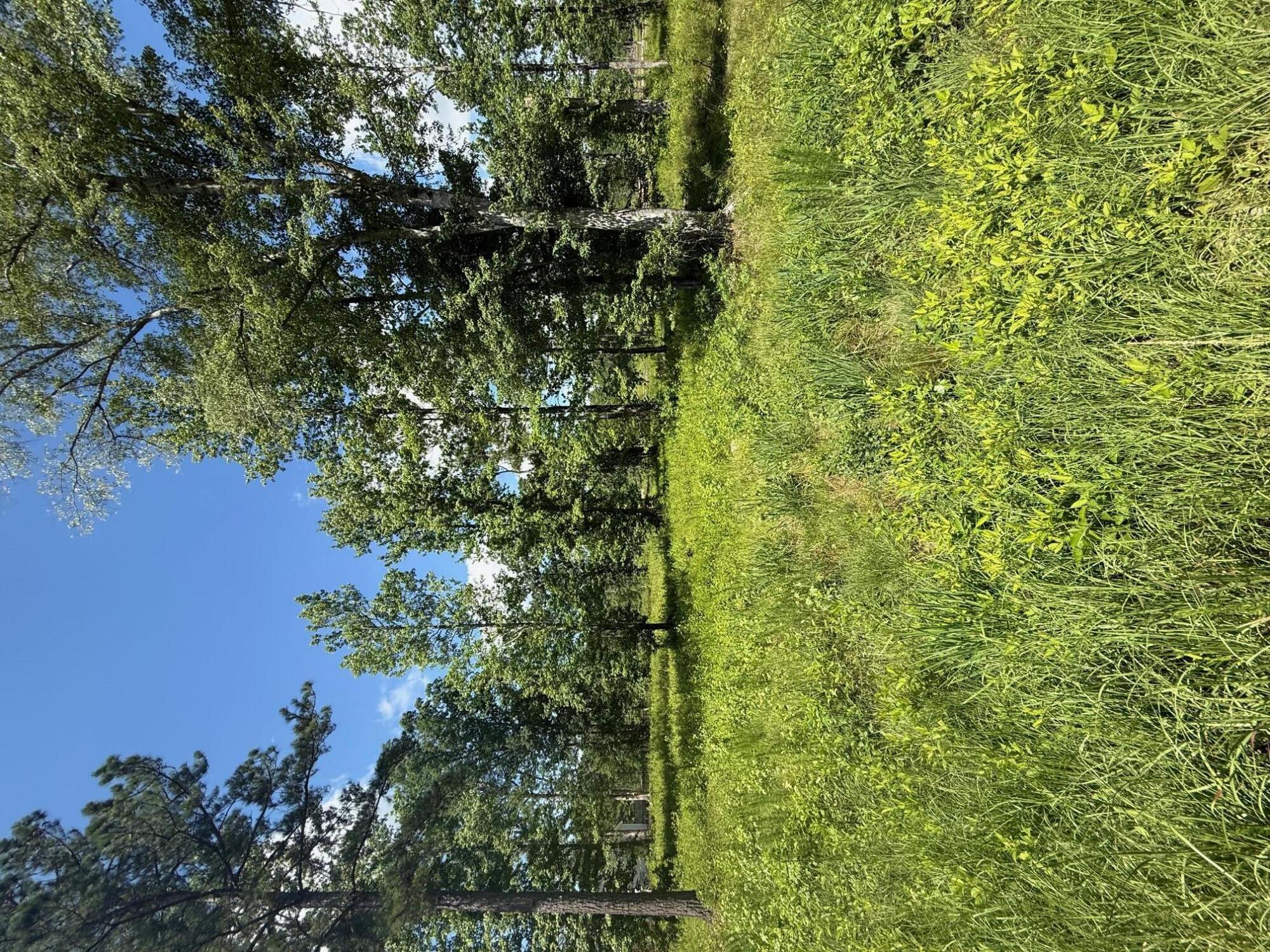 365 Shagbark Way, Harlem, GA, 30814