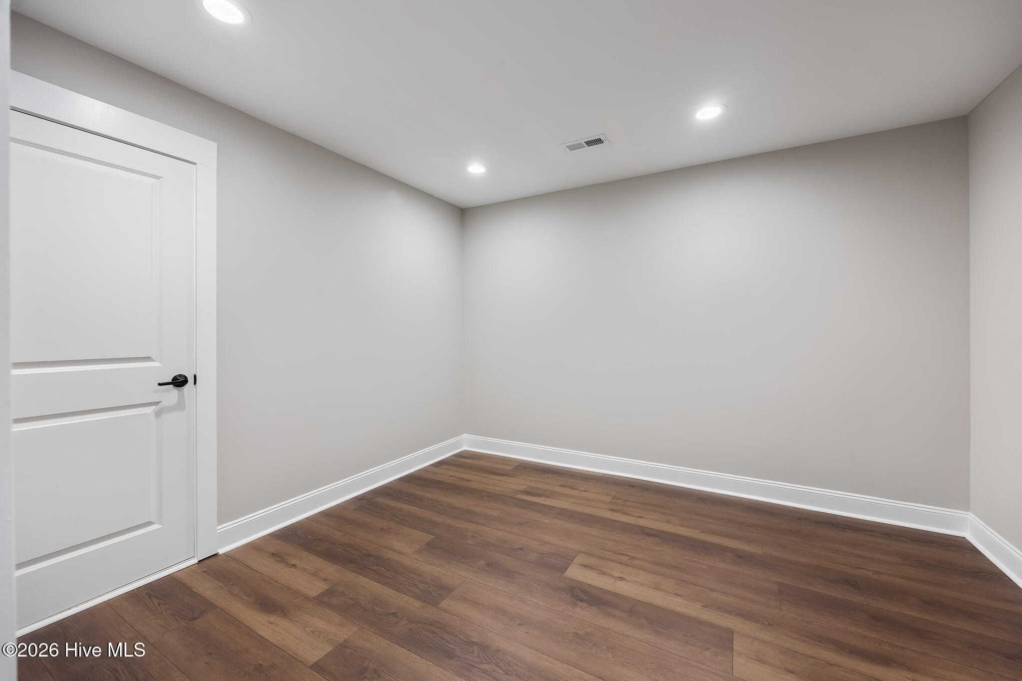 Basement Flex Space