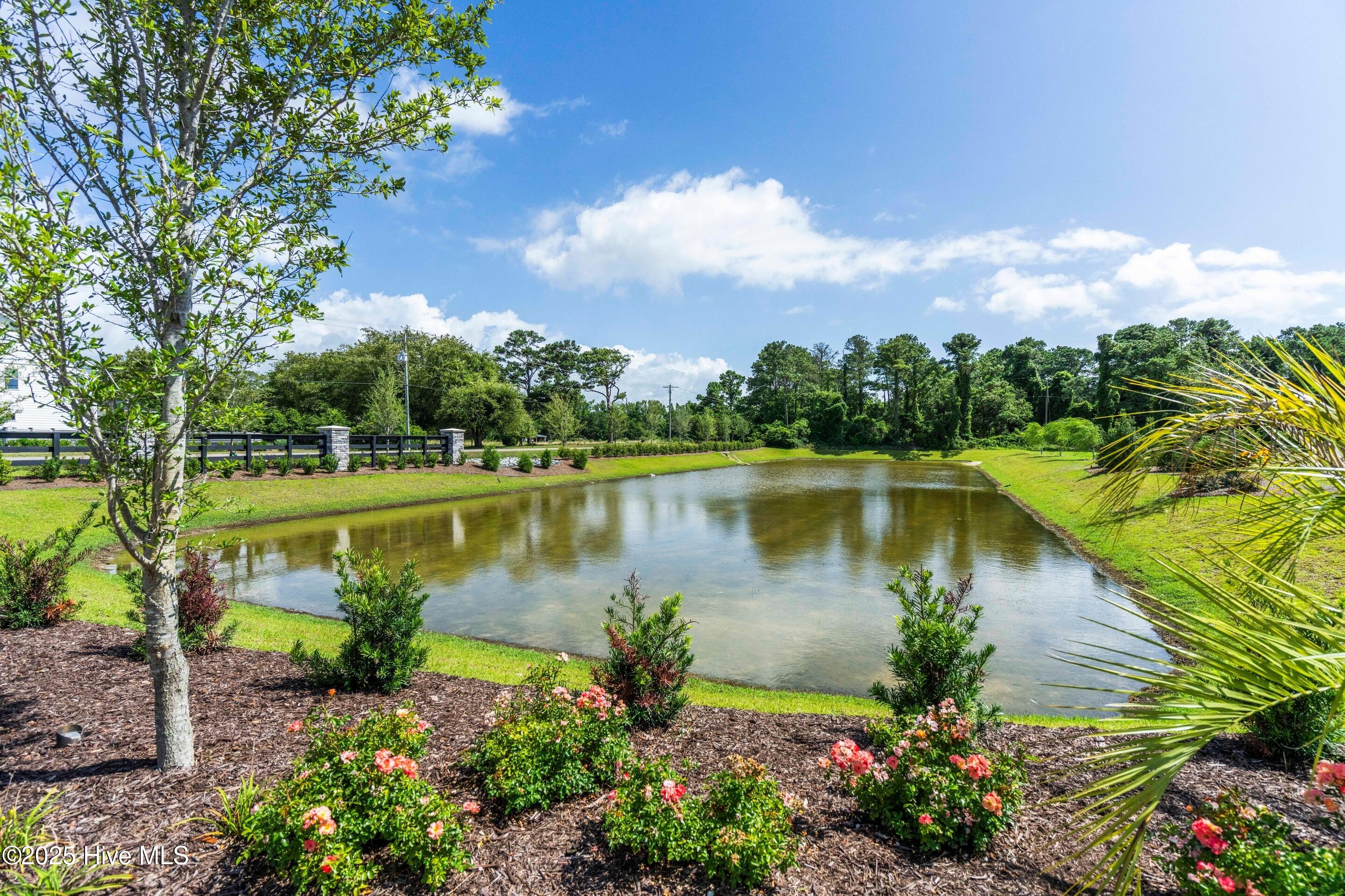 100490520 | Photo 44