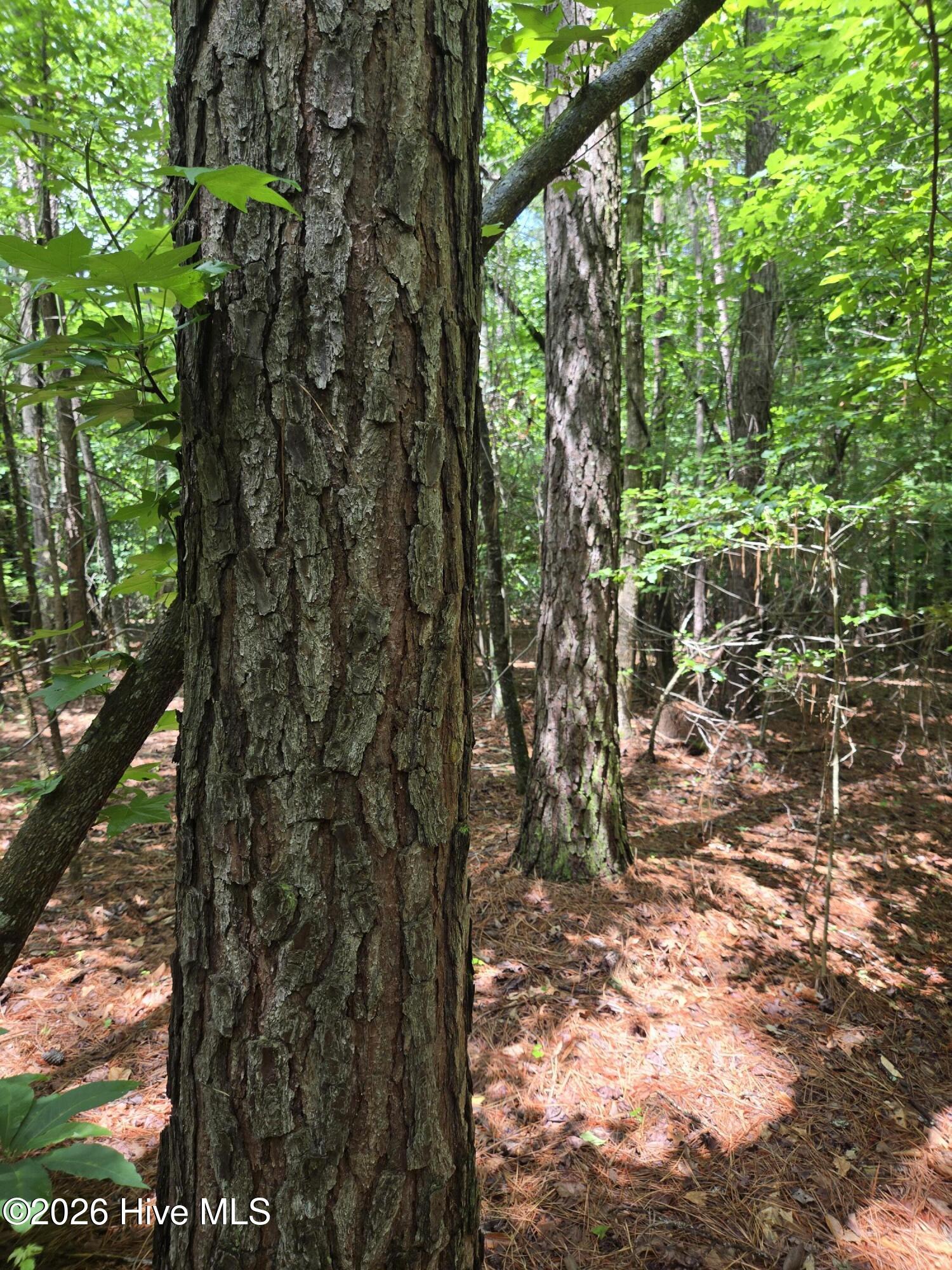 3rd image of 0 Ballard Rd, Williamston, NC 27892 | MLS# 100593404