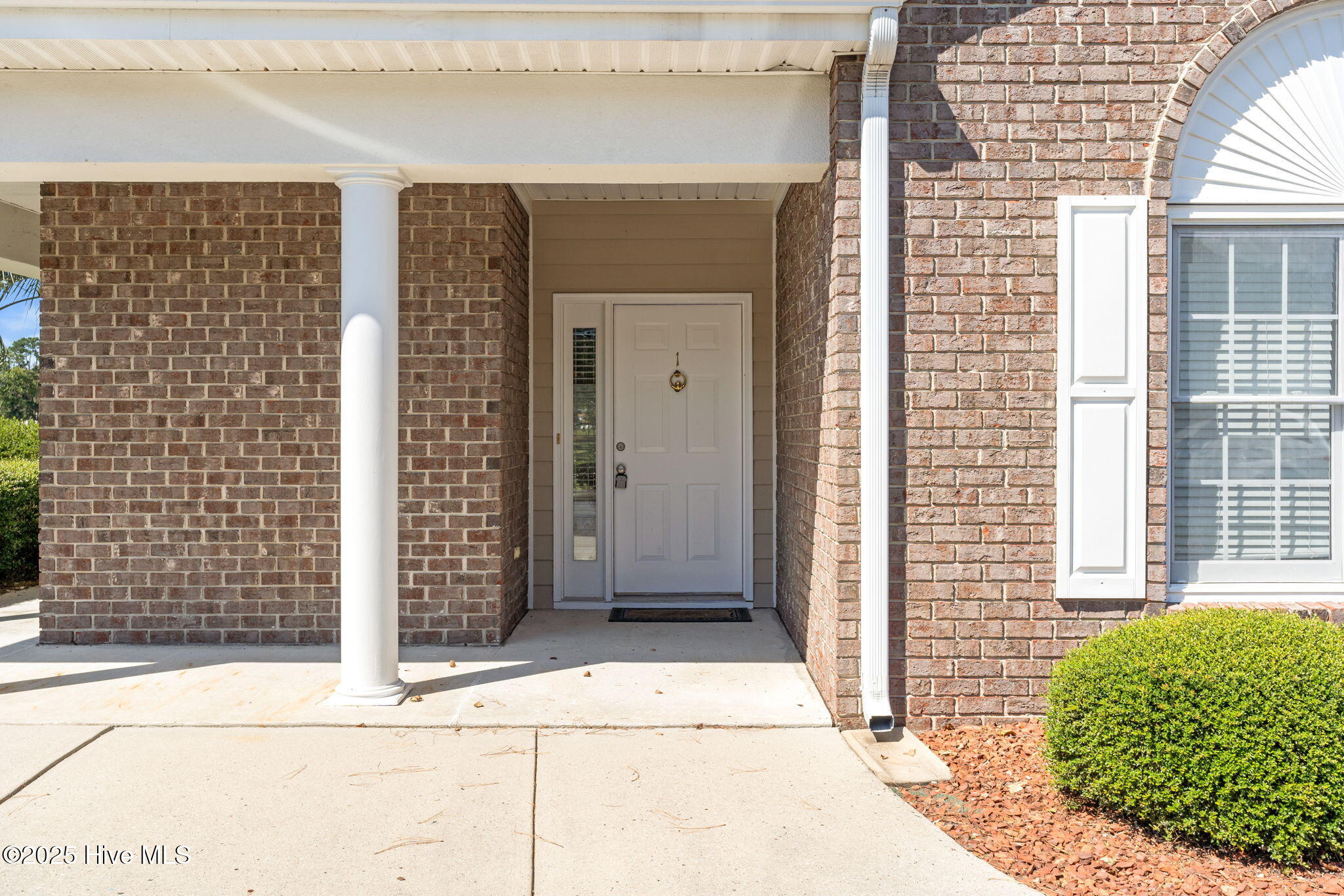 100536273 | Photo 25