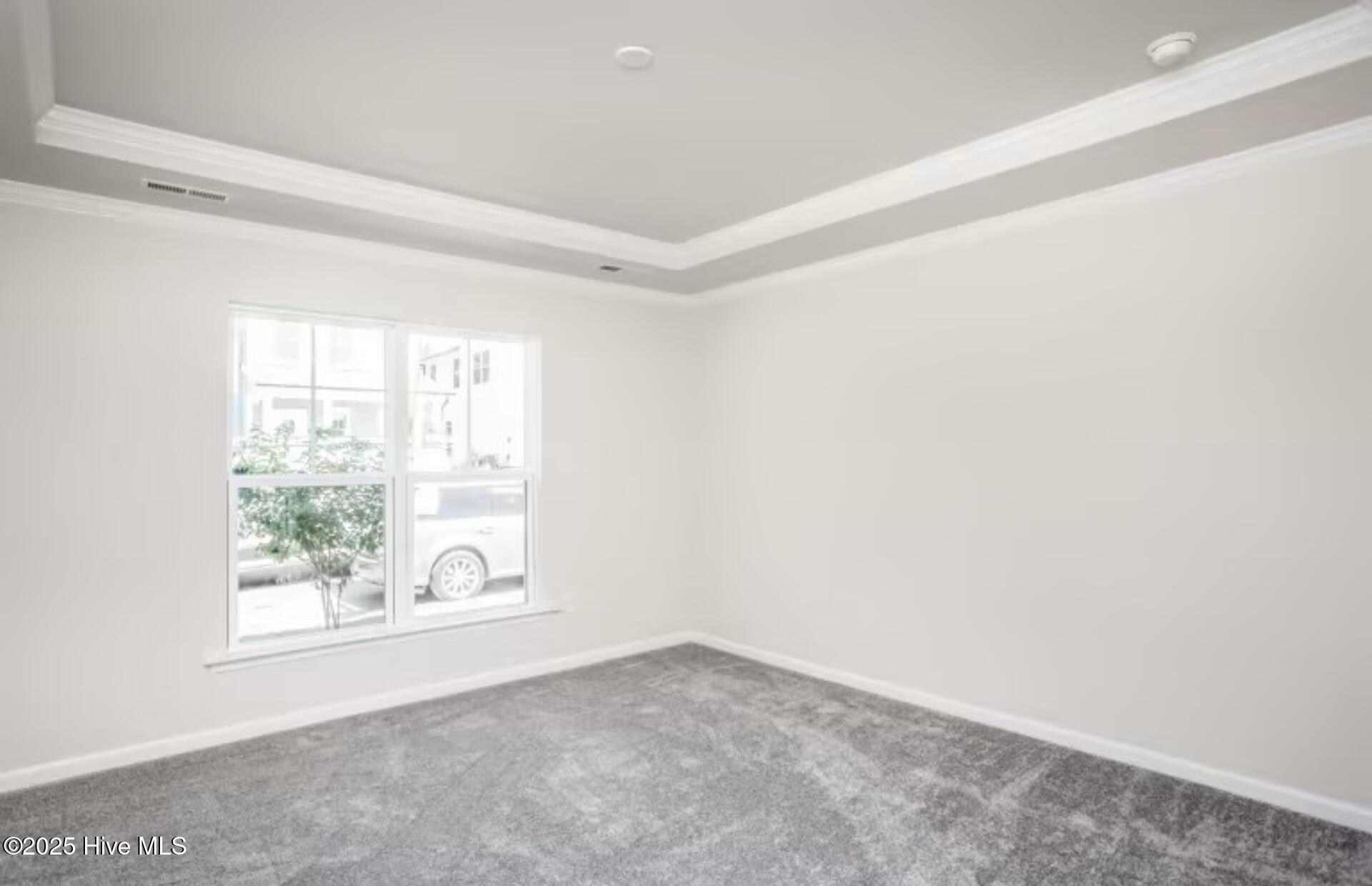 100551890 | Photo 10