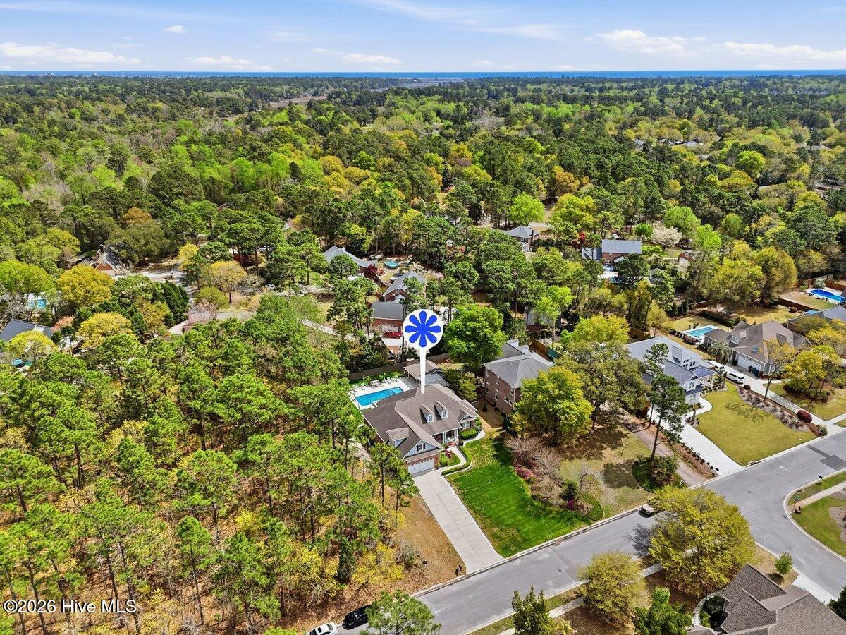 100564665 | Photo 71