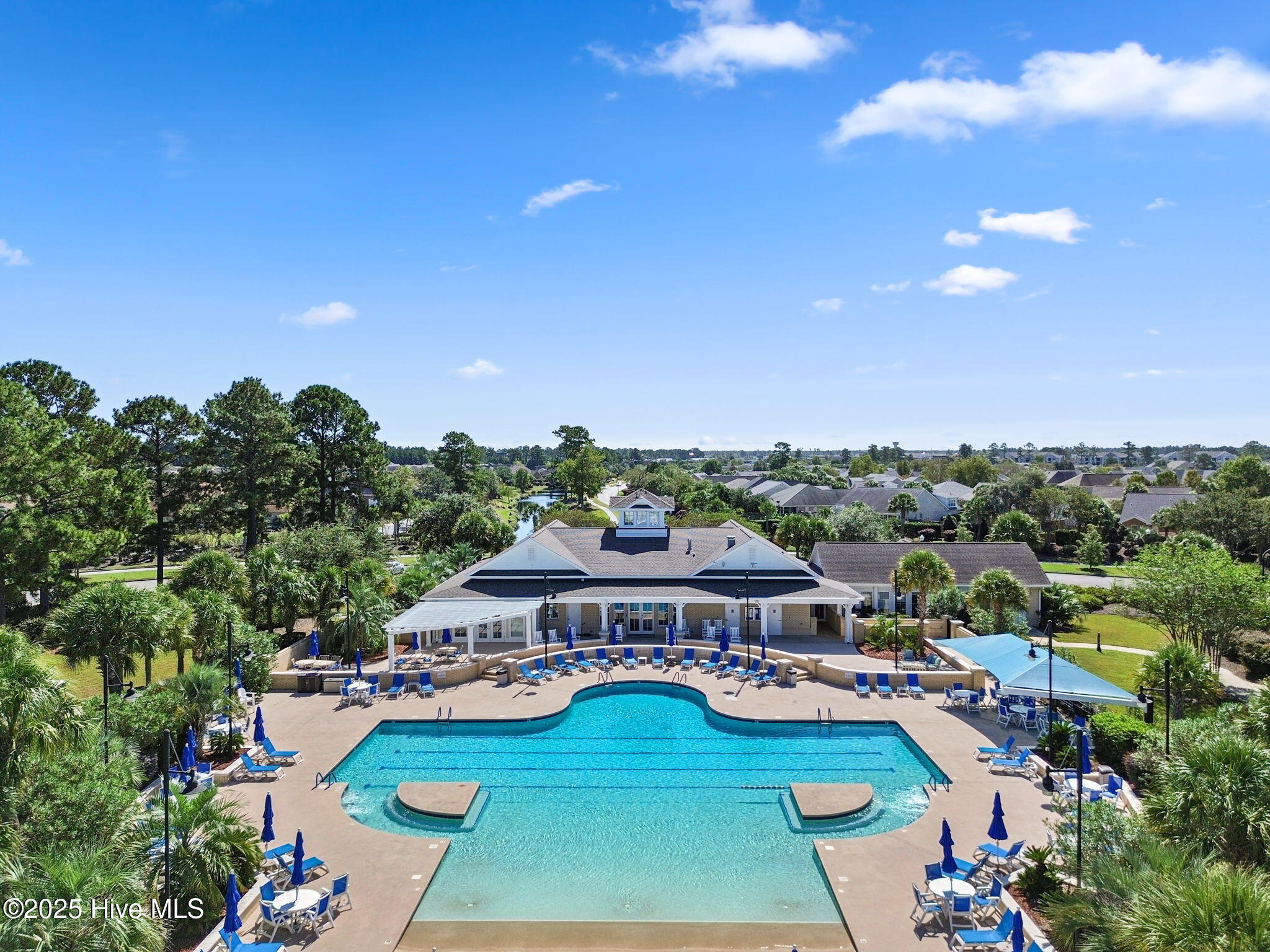 100535127 | Photo 38