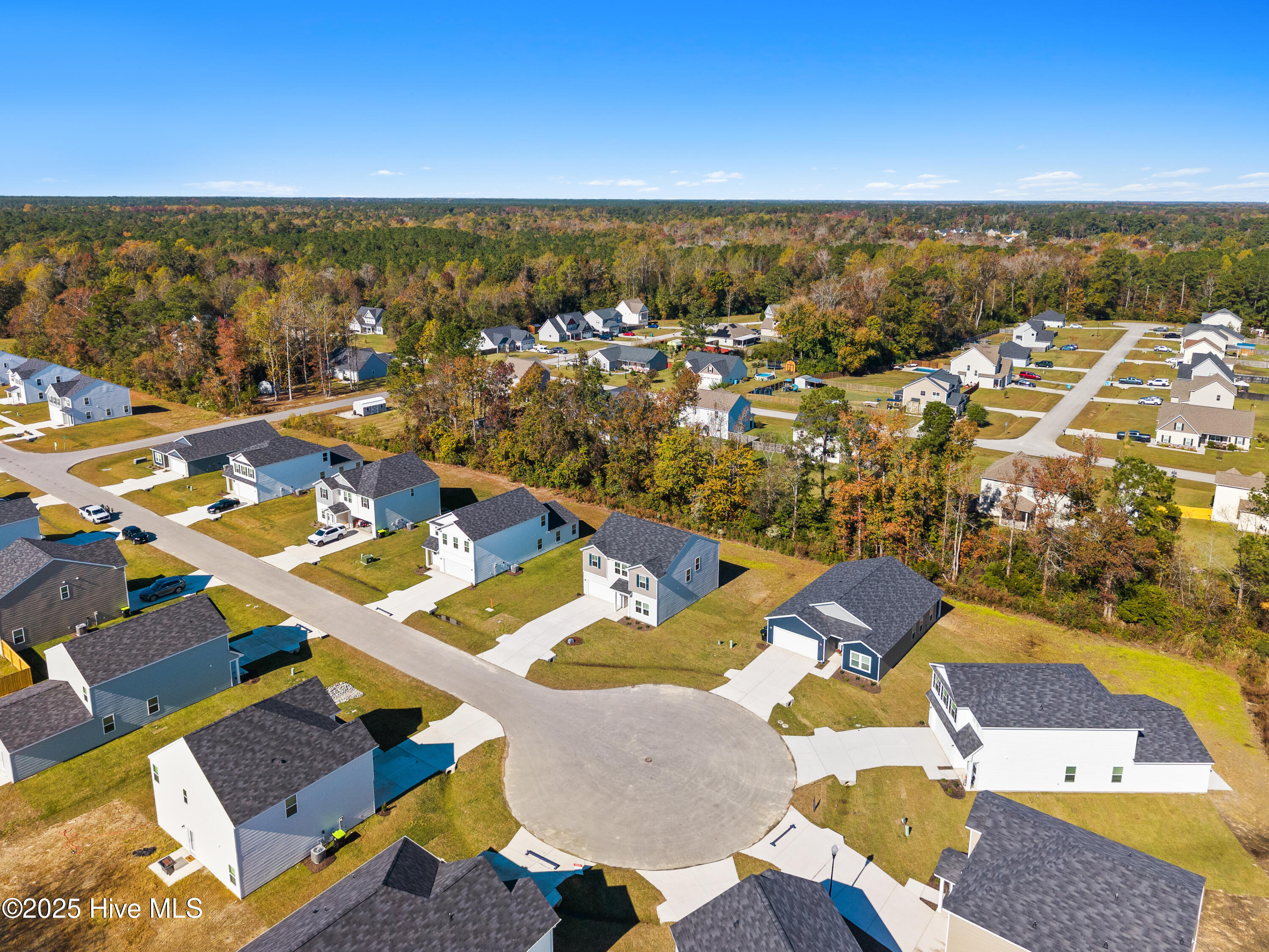 100525599 | Photo 36