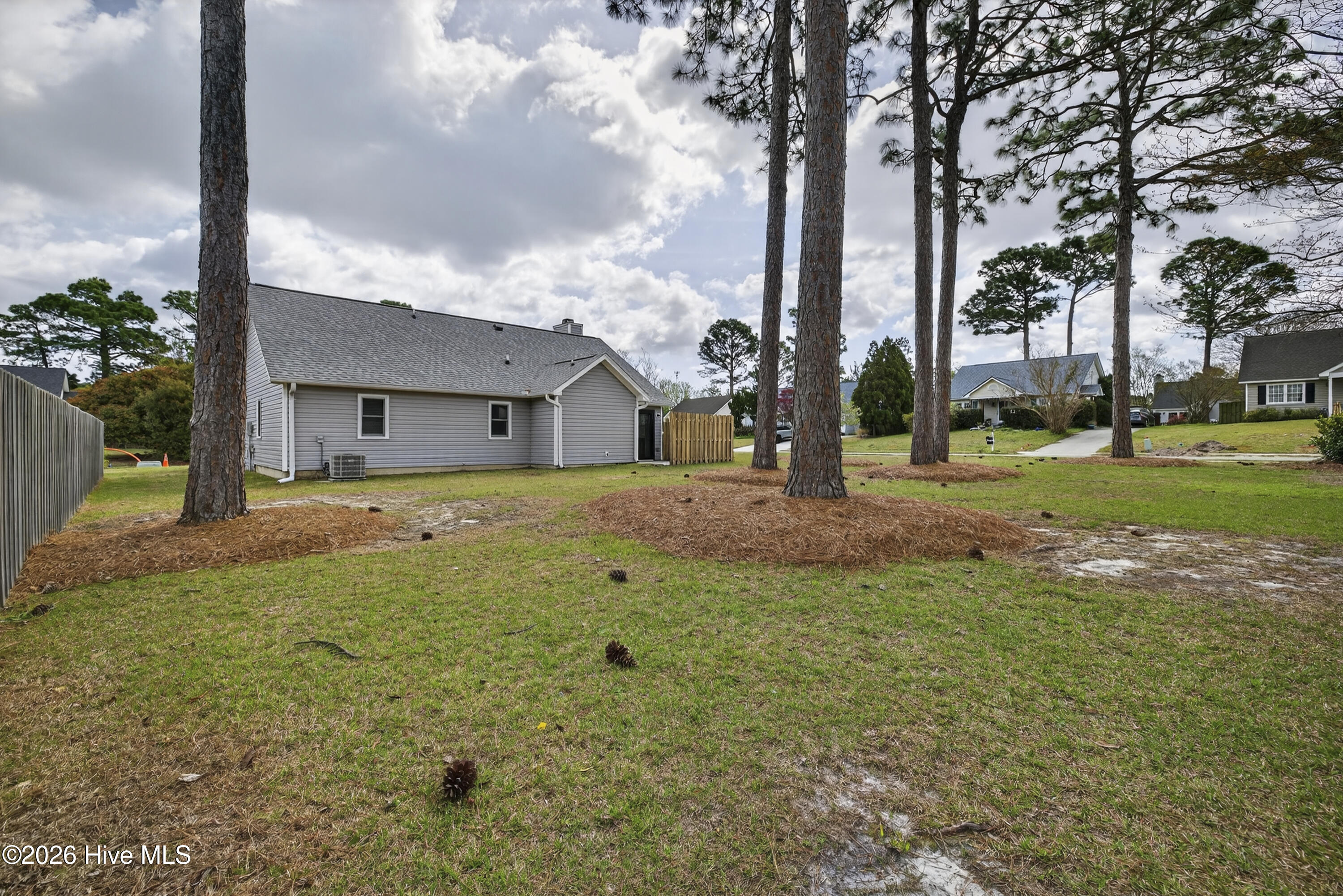 100563145 | Photo 21