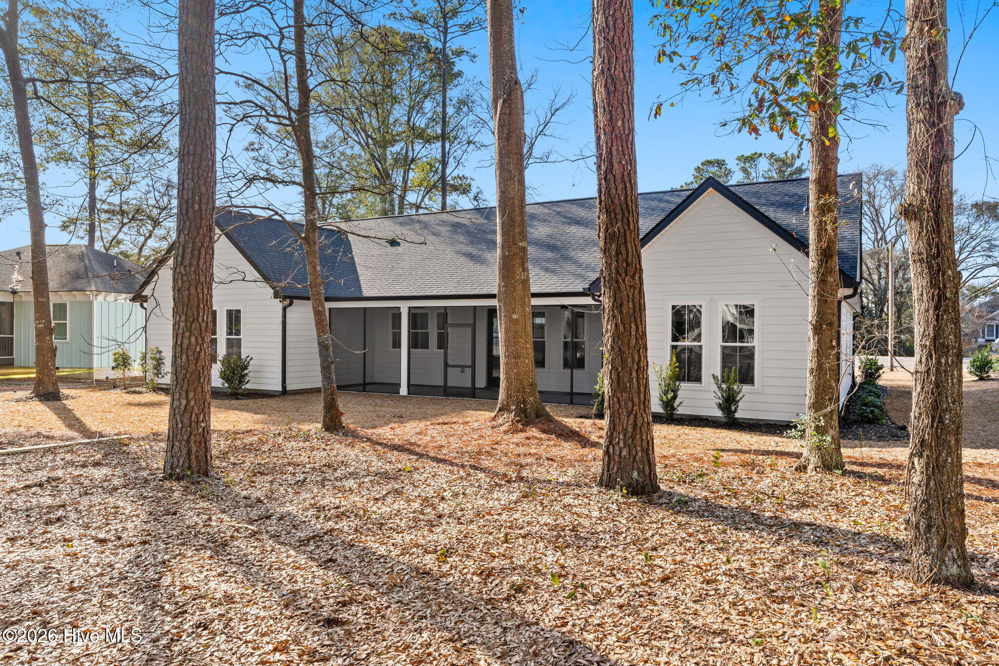 100558111 | Photo 44