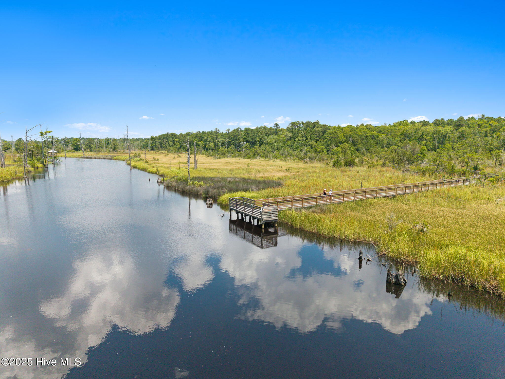 100516887 | Photo 85