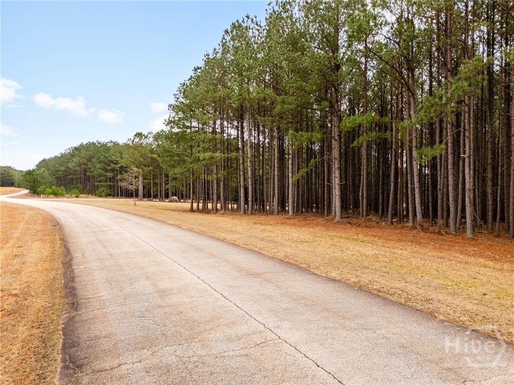 4th image of 1084 S Hesters Ferry Rd, Tignall, GA 30668 | MLS# CL361977