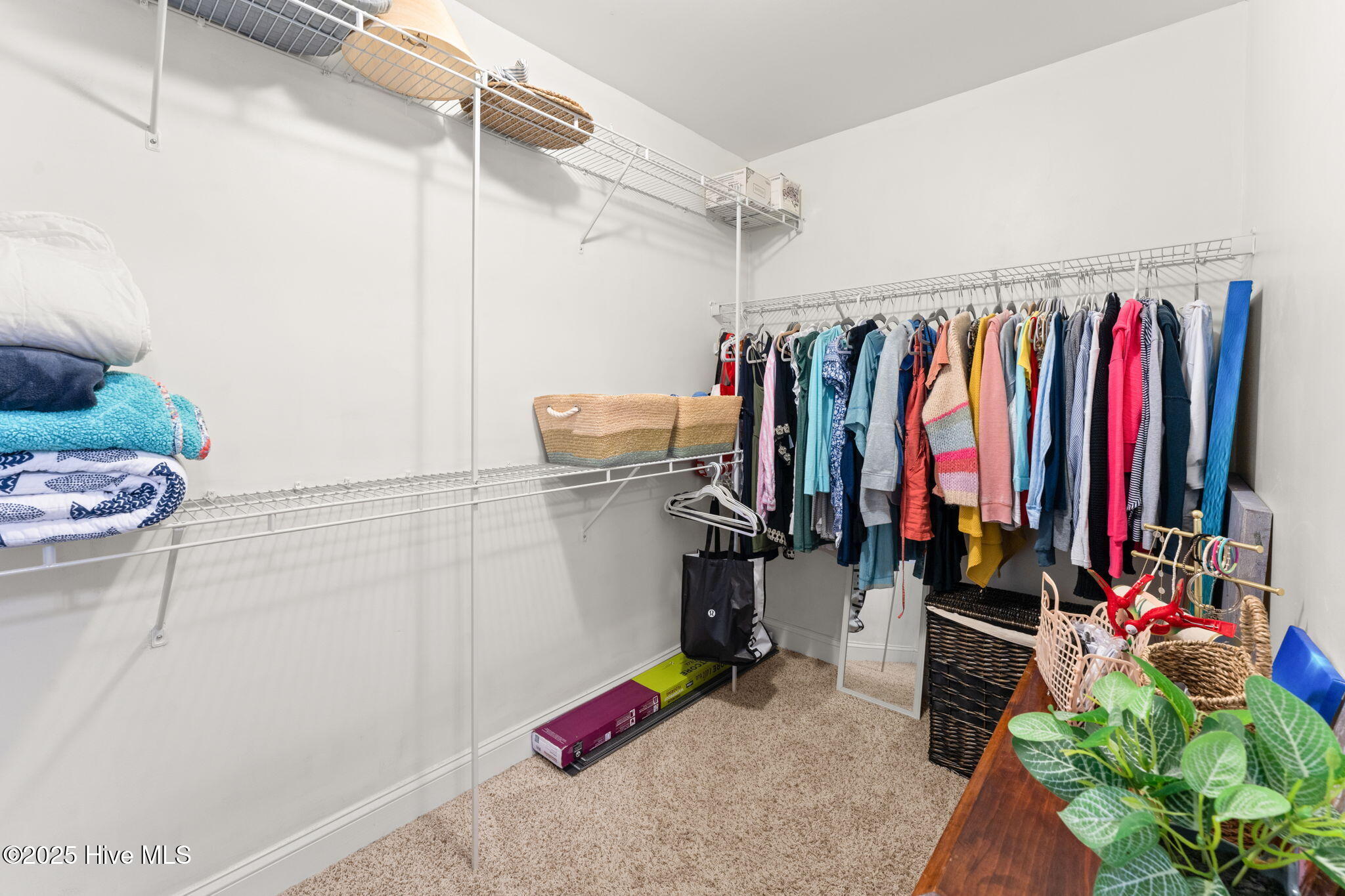 100548300 | Photo 27