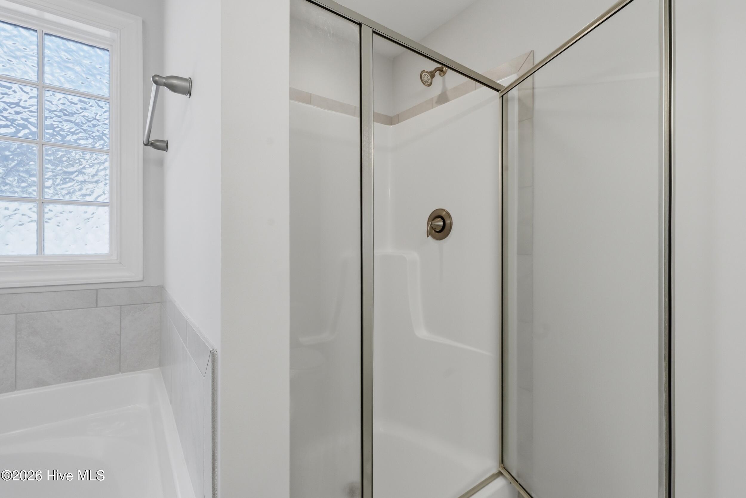 100559479 | Photo 26